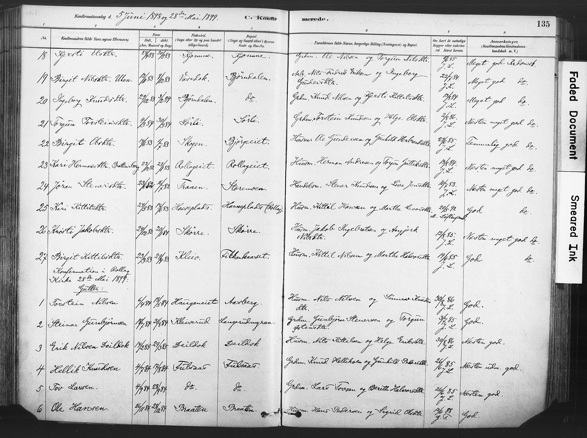 Rollag kirkebøker, SAKO/A-240/F/Fa/L0011: Parish register (official) no. I 11, 1878-1902, p. 135