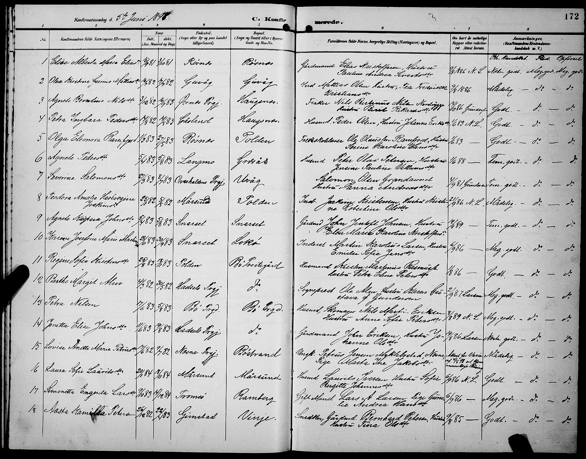 Ministerialprotokoller, klokkerbøker og fødselsregistre - Nordland, SAT/A-1459/891/L1316: Parish register (copy) no. 891C05, 1894-1898, p. 172