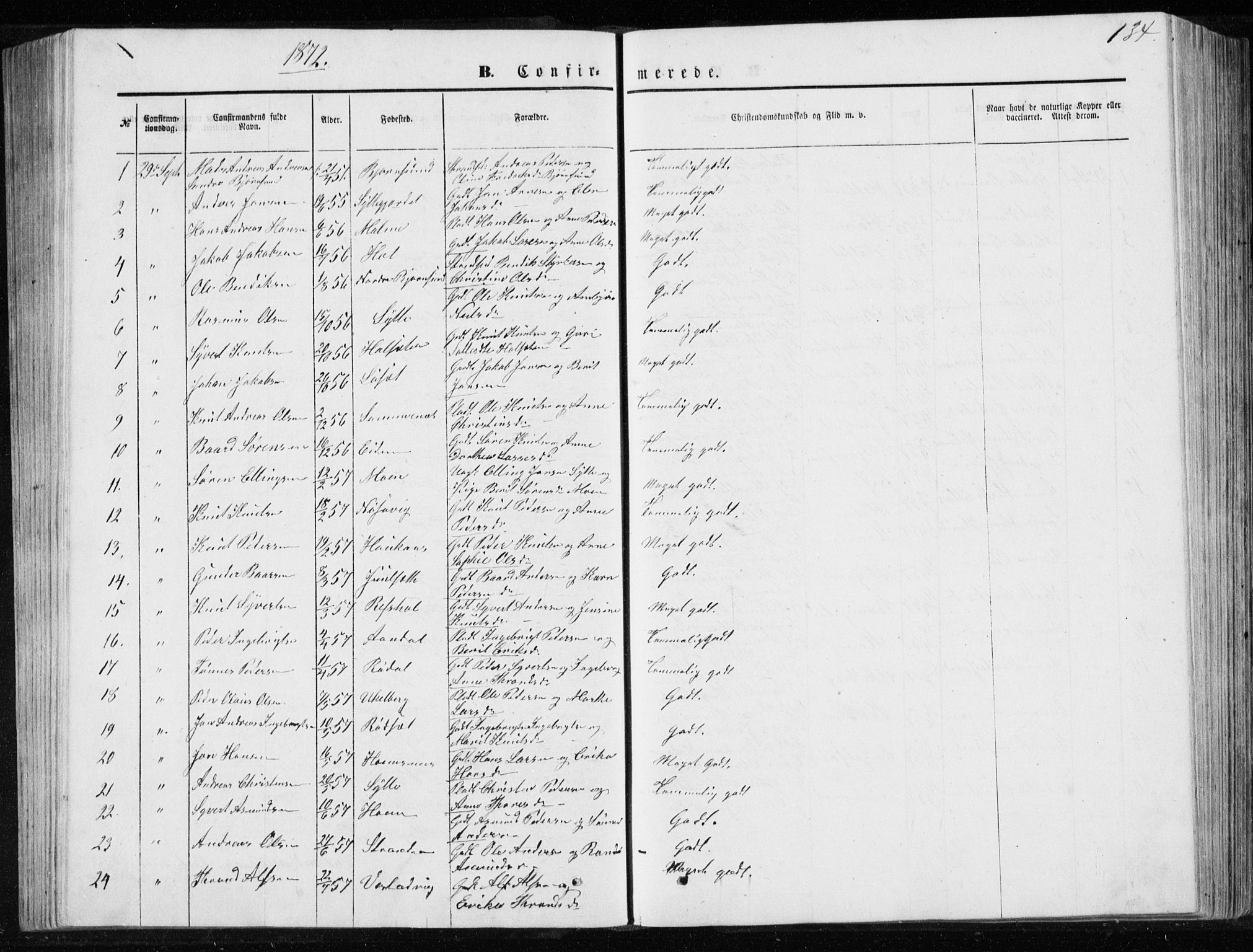 Ministerialprotokoller, klokkerbøker og fødselsregistre - Møre og Romsdal, SAT/A-1454/565/L0754: Parish register (copy) no. 565C03, 1870-1896, p. 134