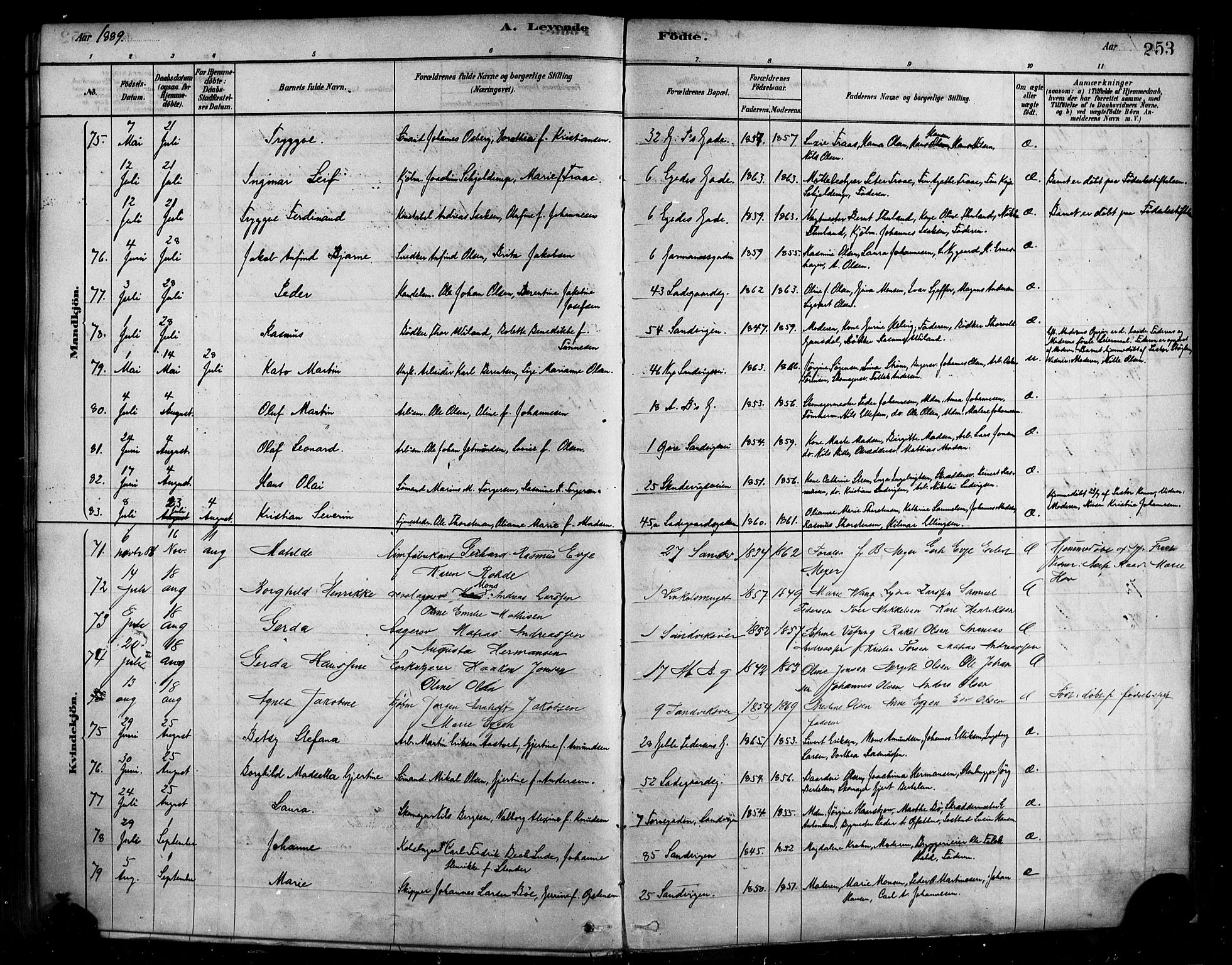 Sandviken Sokneprestembete, AV/SAB-A-77601/H/Ha/L0004: Parish register (official) no. B 1, 1878-1891, p. 253