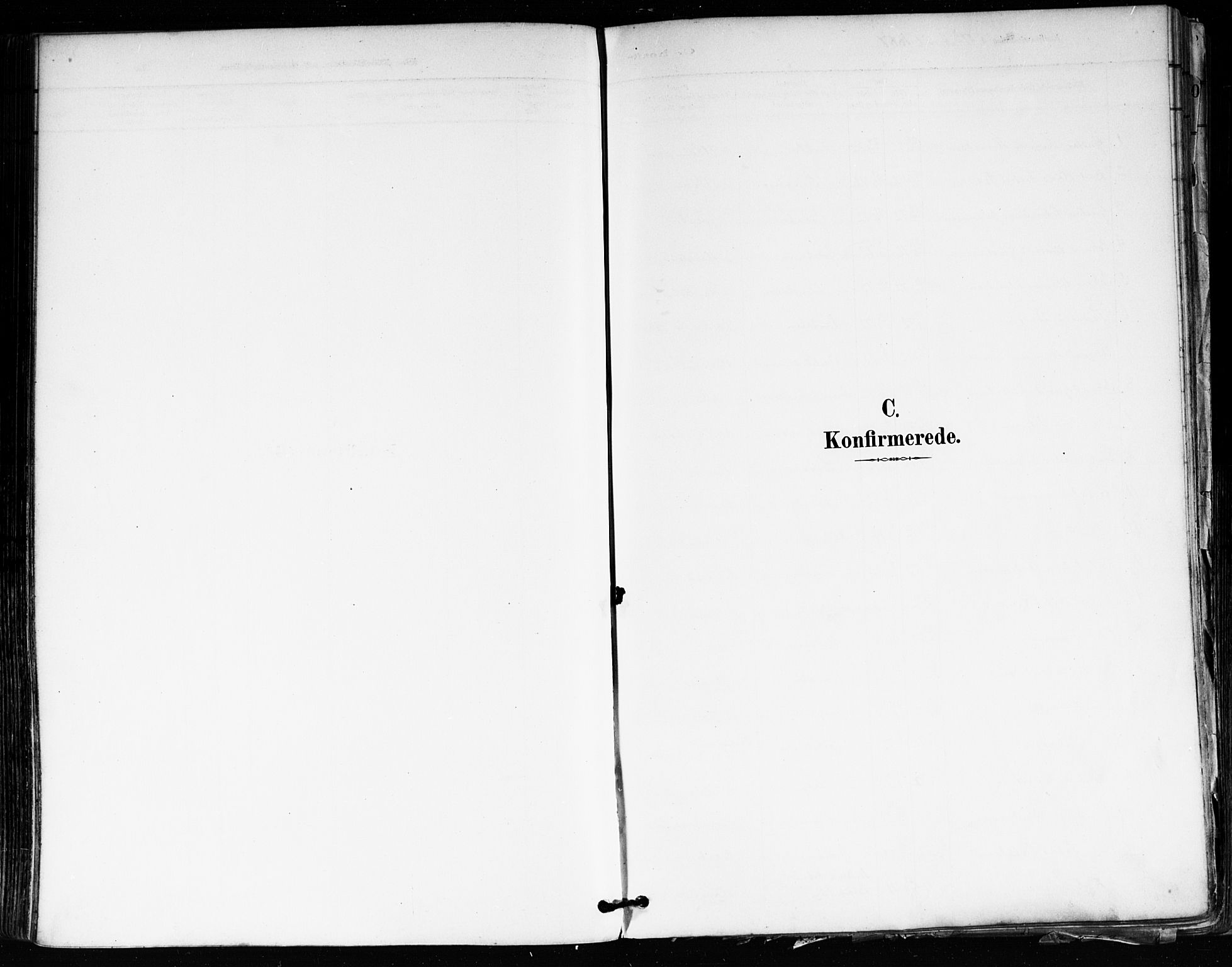 Tune prestekontor Kirkebøker, AV/SAO-A-2007/F/Fa/L0018: Parish register (official) no. 18, 1887-1898