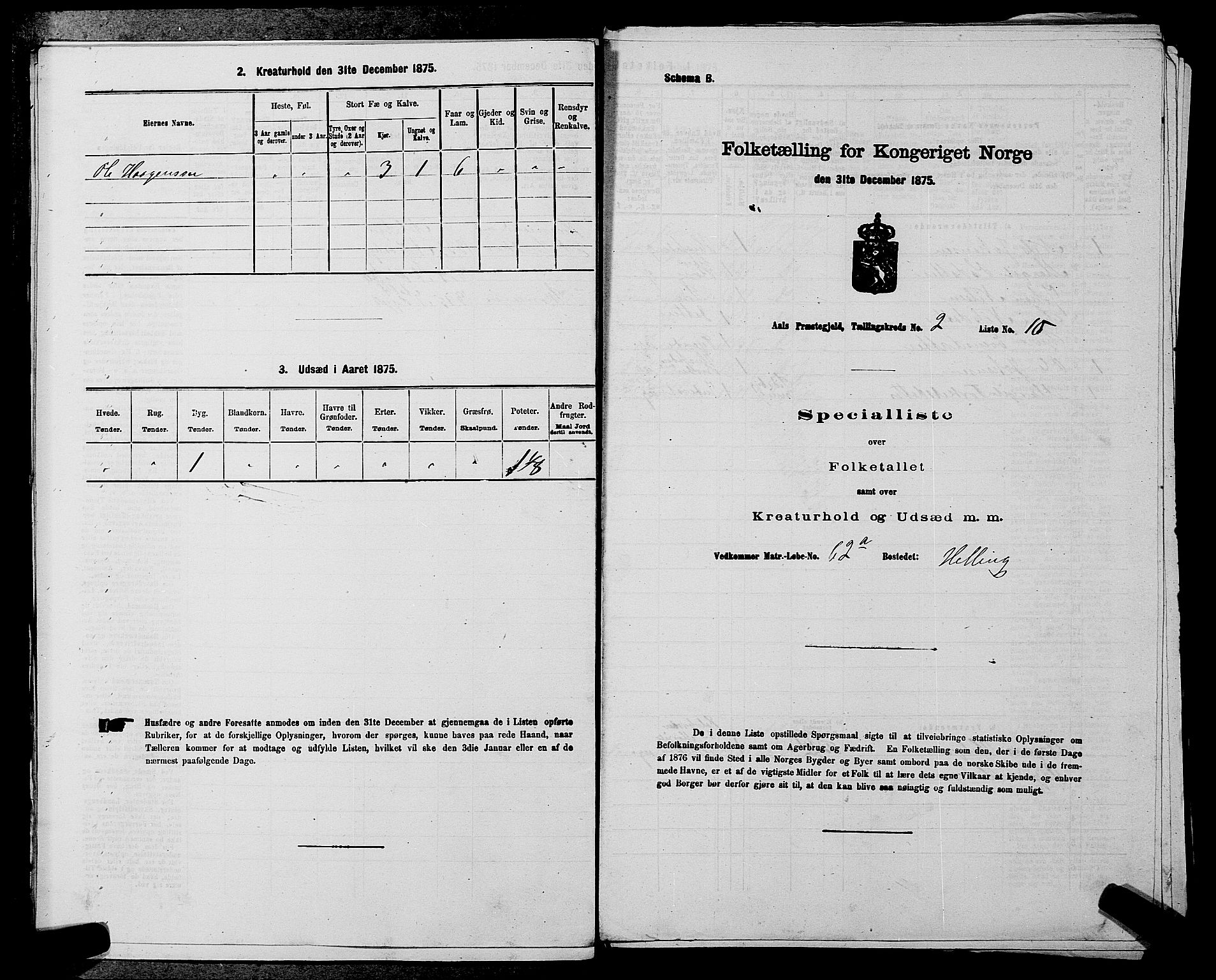 SAKO, 1875 census for 0619P Ål, 1875, p. 228