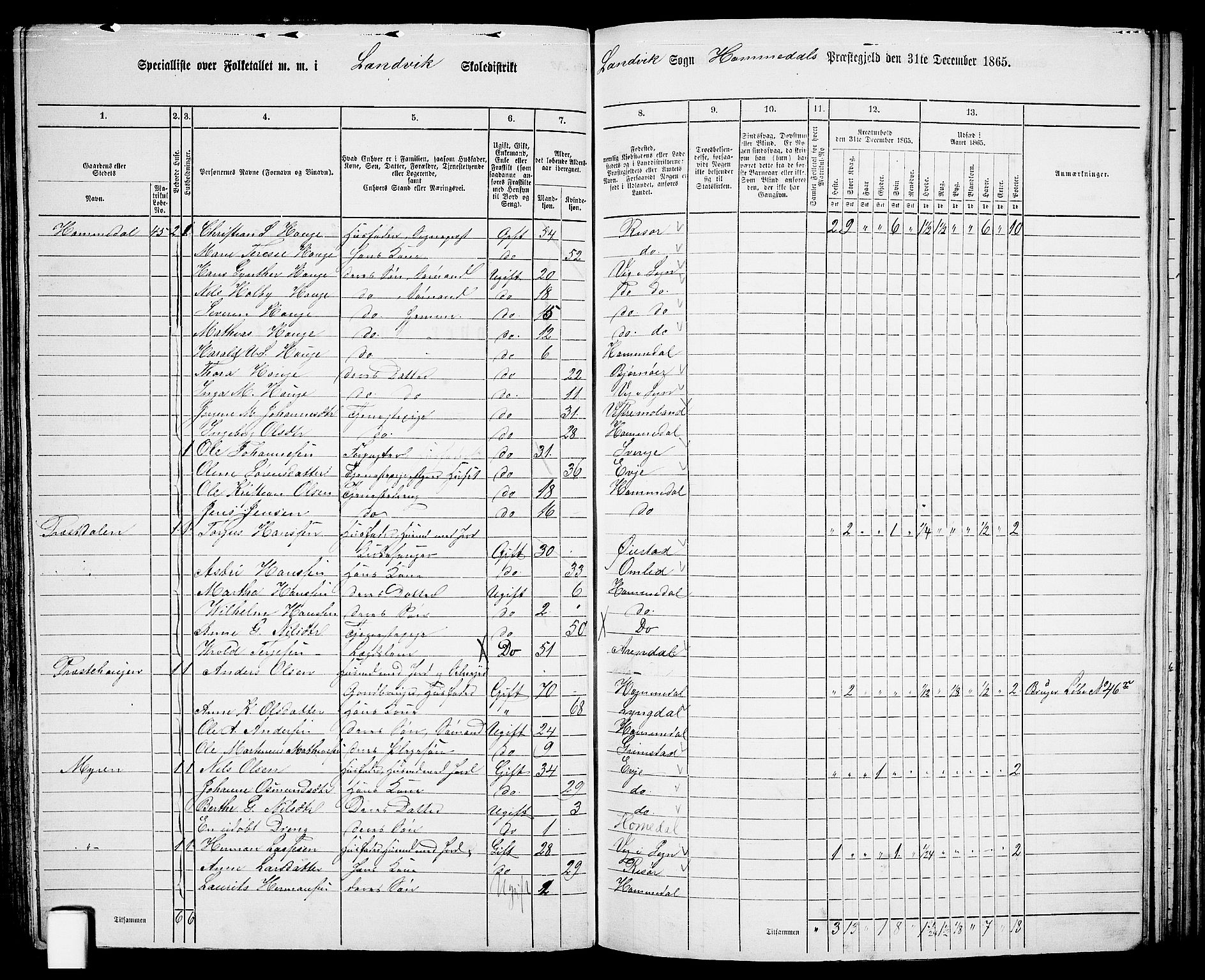 RA, 1865 census for Homedal, 1865, p. 75