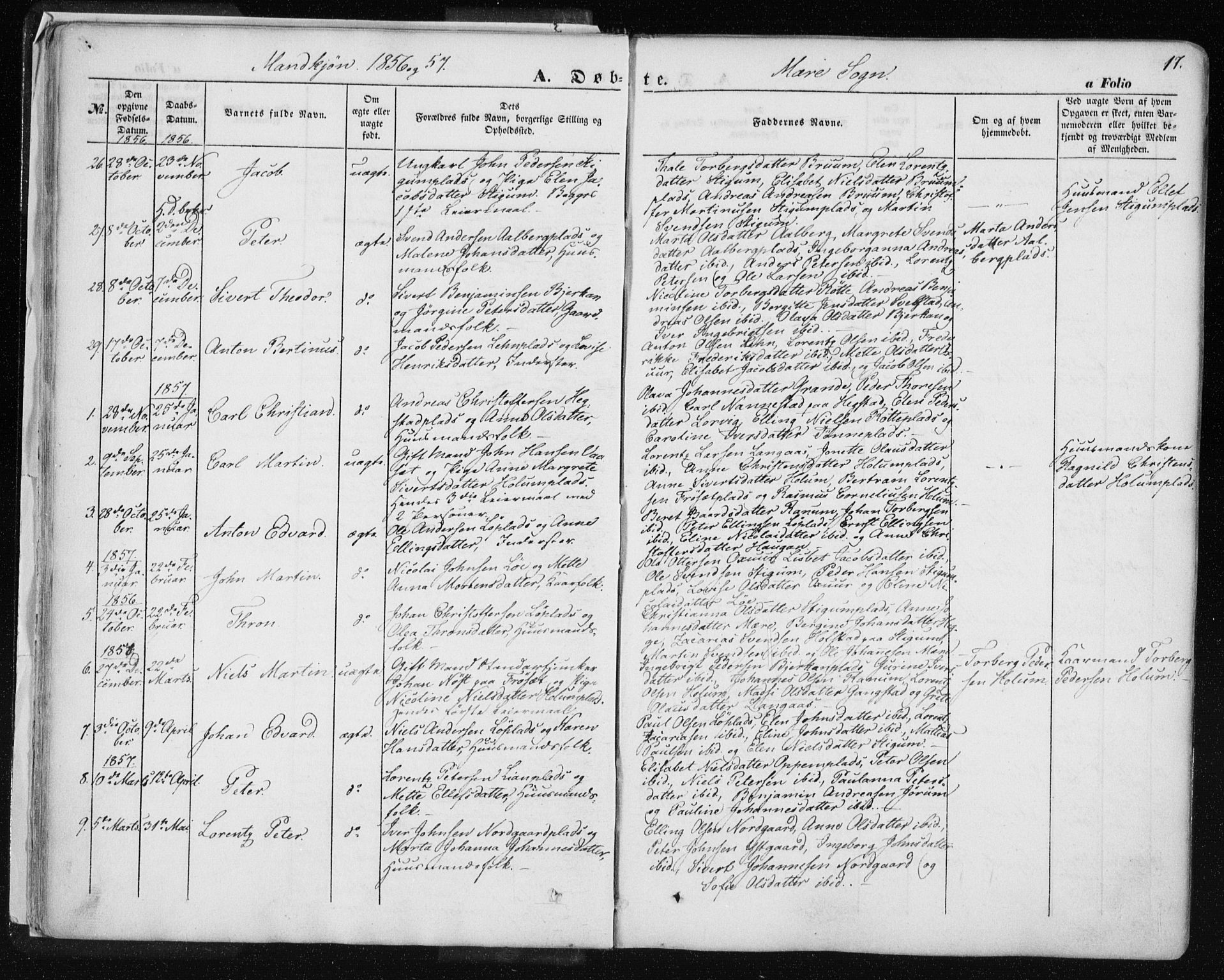 Ministerialprotokoller, klokkerbøker og fødselsregistre - Nord-Trøndelag, SAT/A-1458/735/L0342: Parish register (official) no. 735A07 /1, 1849-1862, p. 17