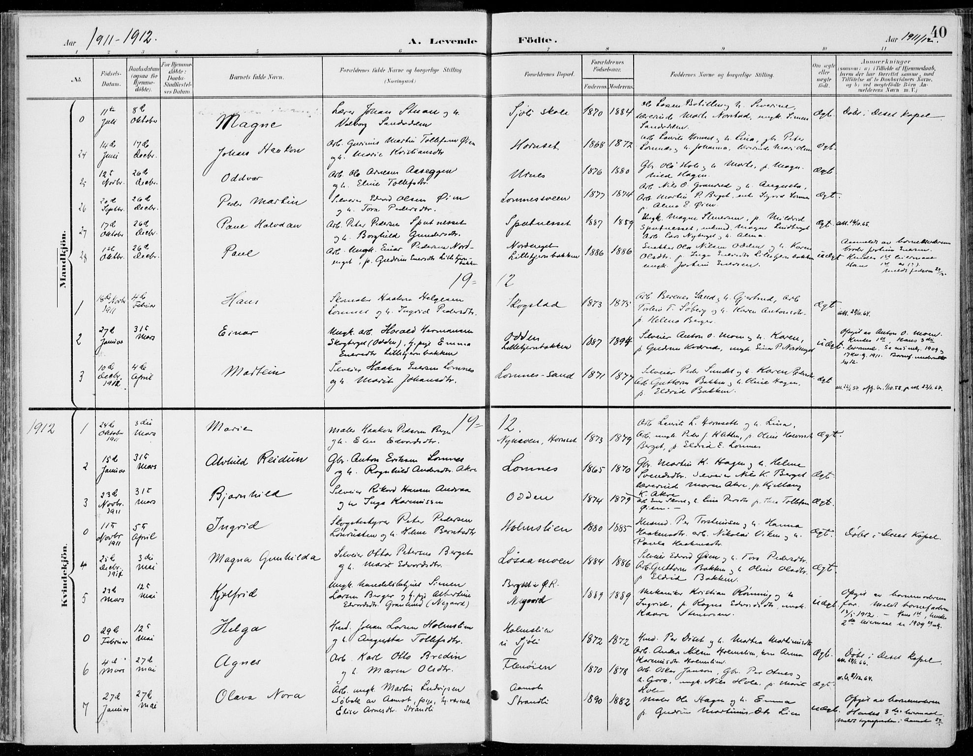 Rendalen prestekontor, SAH/PREST-054/H/Ha/Haa/L0011: Parish register (official) no. 11, 1901-1925, p. 40