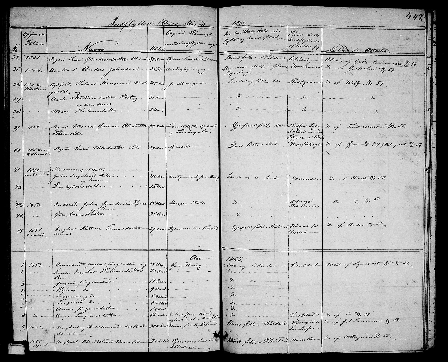 Holla kirkebøker, AV/SAKO-A-272/G/Ga/L0003: Parish register (copy) no. I 3, 1849-1866, p. 447