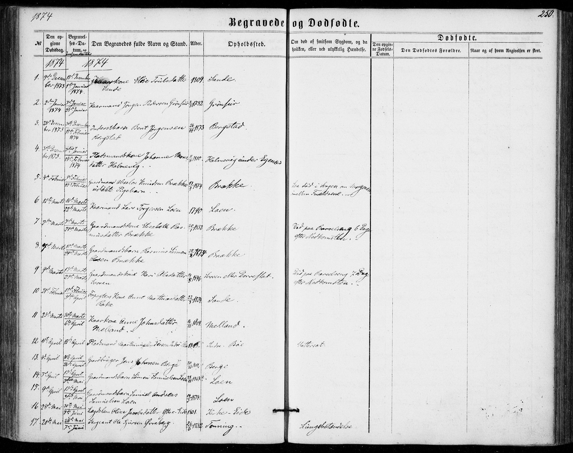 Stryn Sokneprestembete, SAB/A-82501: Parish register (official) no. A 3, 1862-1877, p. 250
