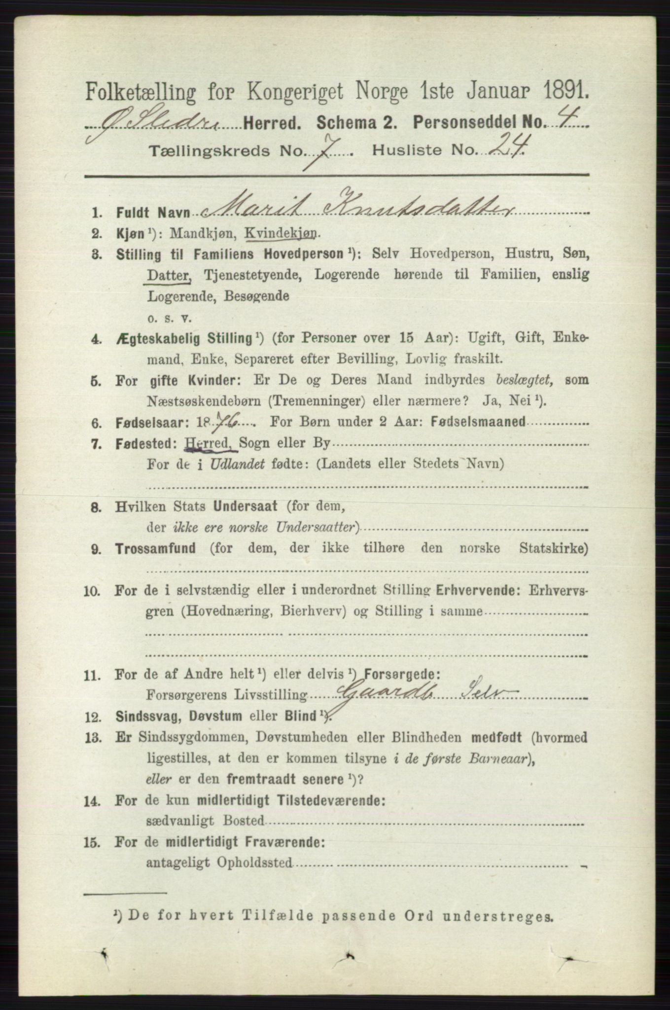 RA, 1891 census for 0544 Øystre Slidre, 1891, p. 2300