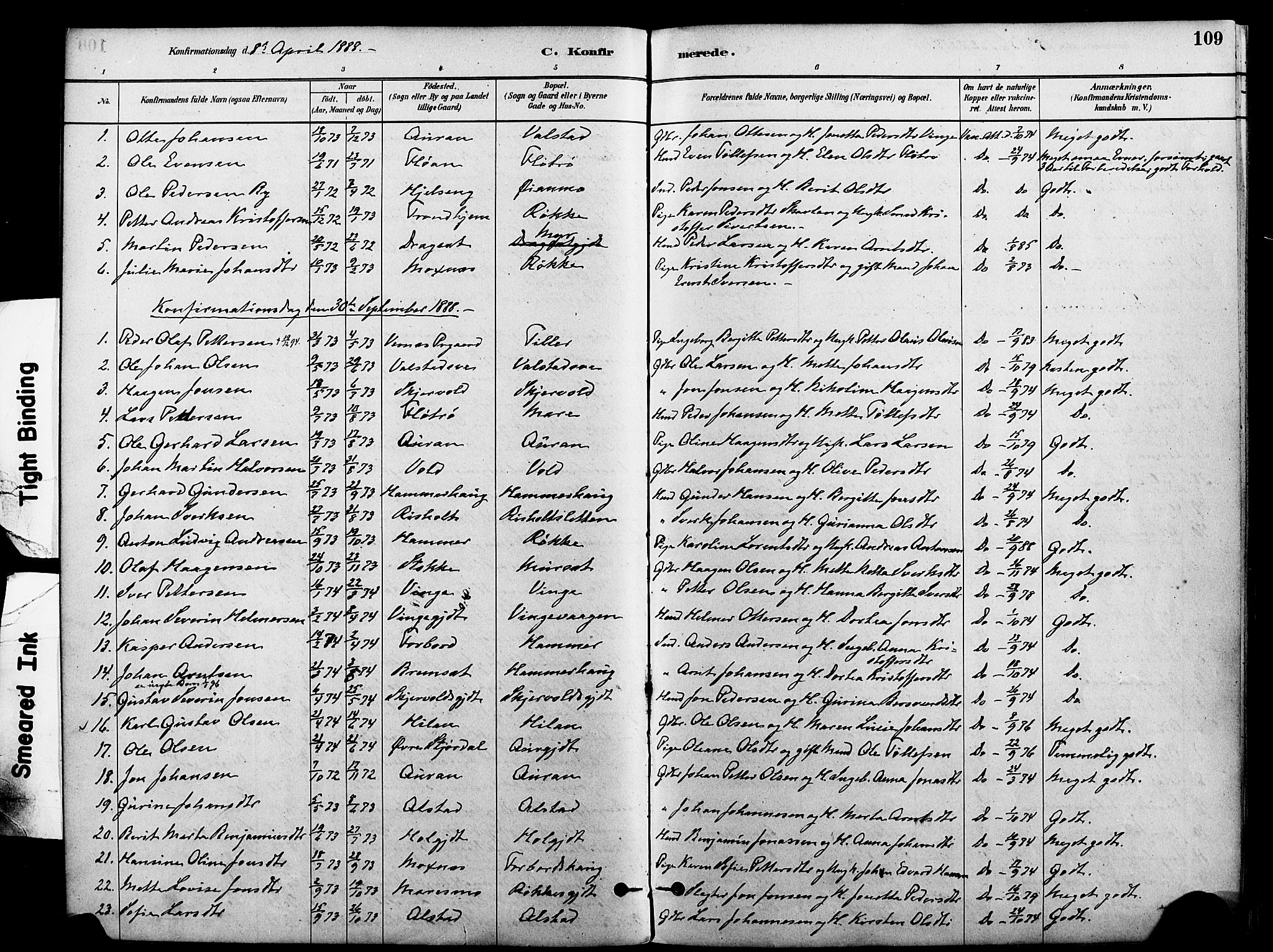 Ministerialprotokoller, klokkerbøker og fødselsregistre - Nord-Trøndelag, AV/SAT-A-1458/712/L0100: Parish register (official) no. 712A01, 1880-1900, p. 109