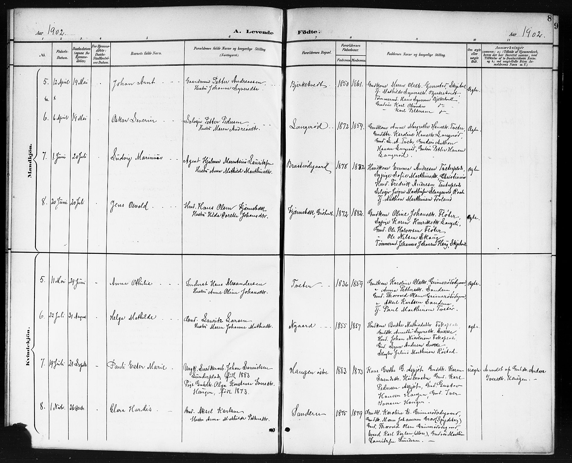 Våler prestekontor Kirkebøker, AV/SAO-A-11083/G/Gb/L0001: Parish register (copy) no. II 1, 1901-1916, p. 8