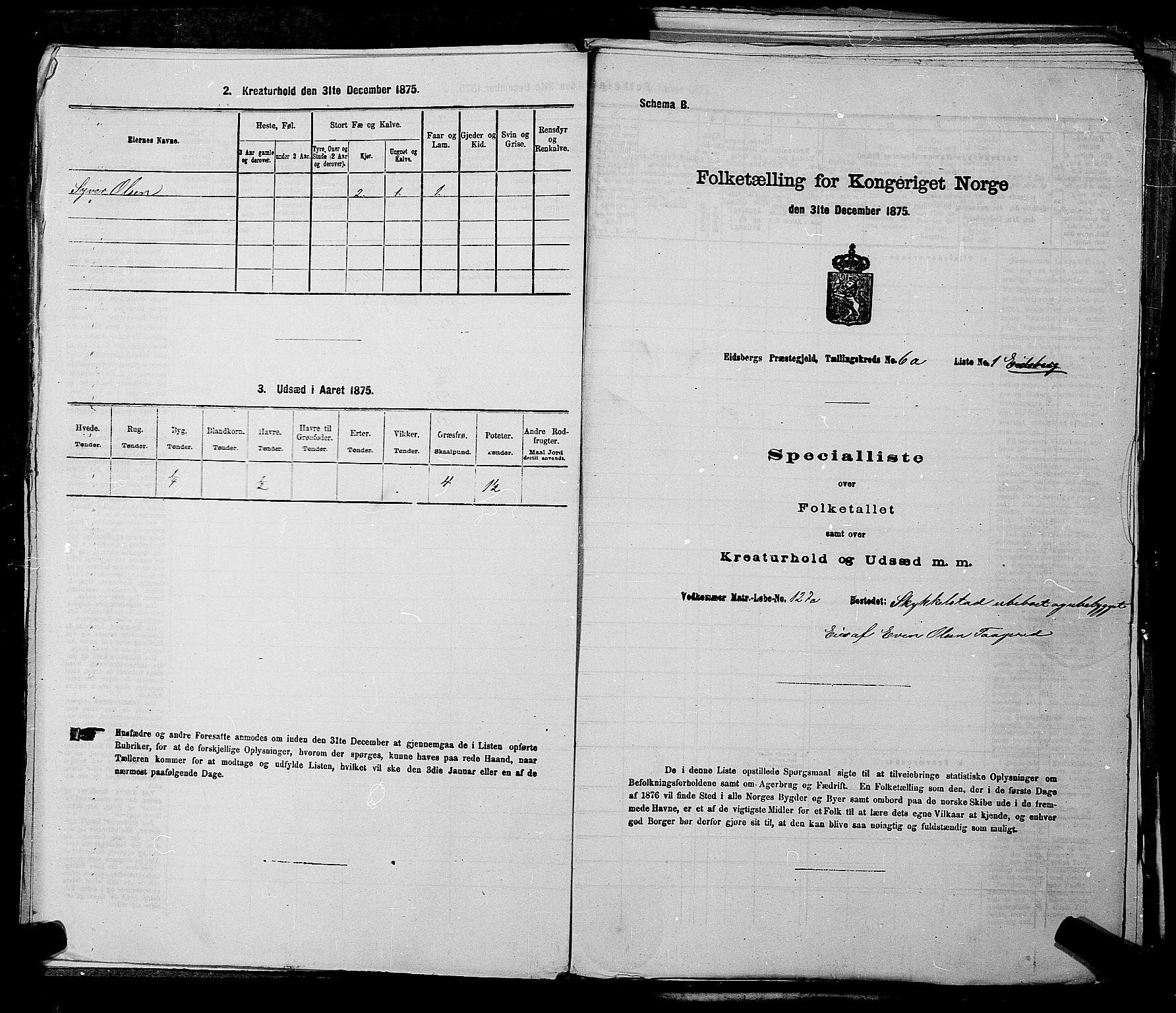 RA, 1875 census for 0125P Eidsberg, 1875, p. 1143