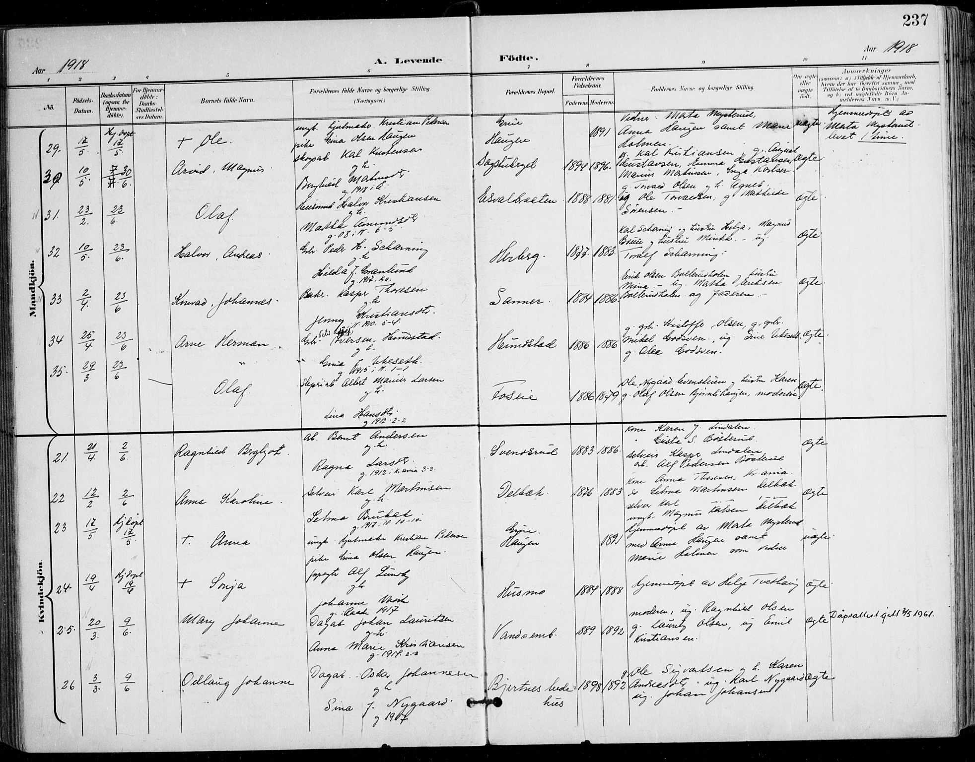 Nes prestekontor Kirkebøker, AV/SAO-A-10410/F/Fa/L0011: Parish register (official) no. I 11, 1899-1918, p. 237