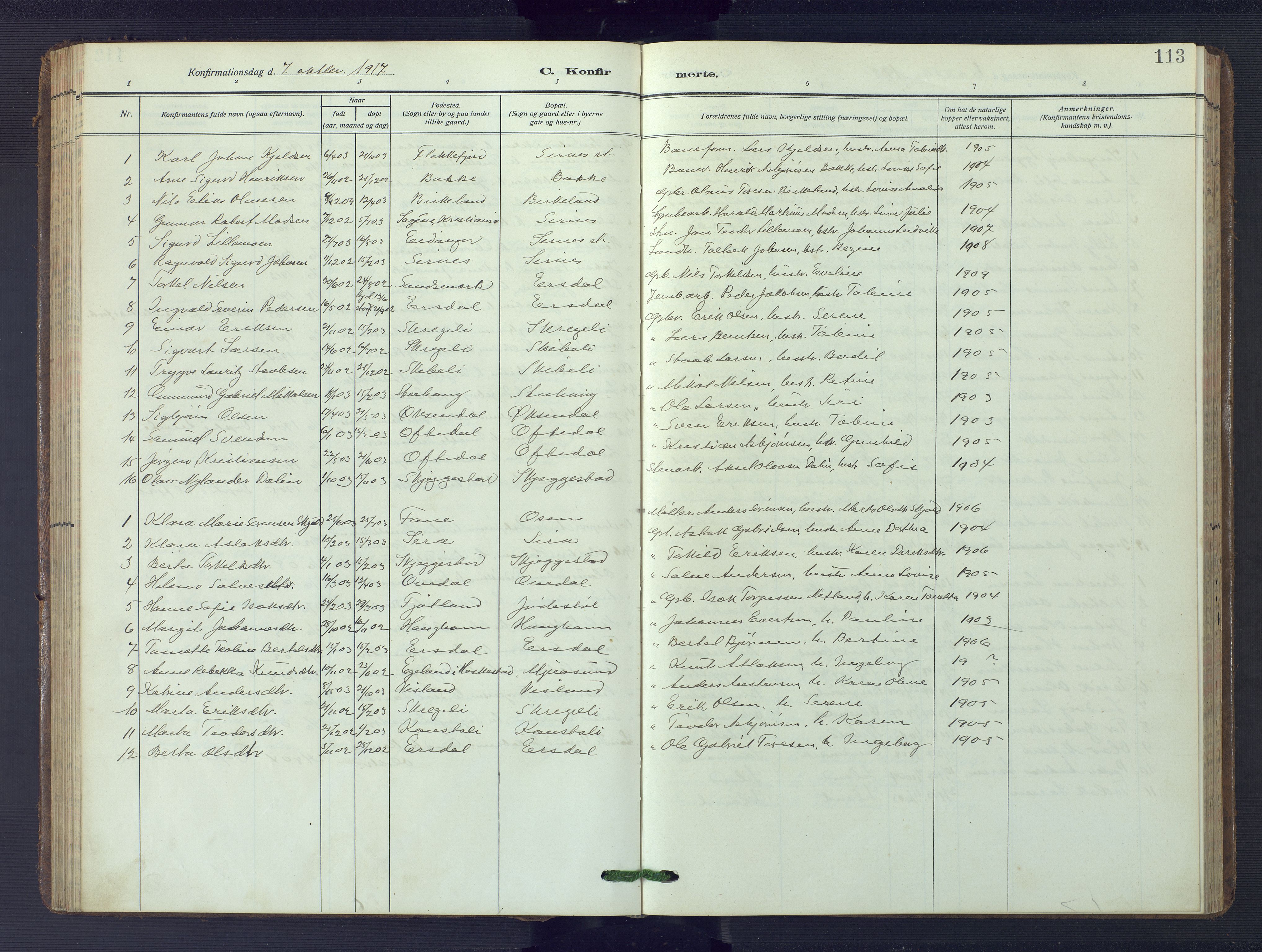 Bakke sokneprestkontor, SAK/1111-0002/F/Fb/Fba/L0004: Parish register (copy) no. B 4, 1911-1946, p. 113