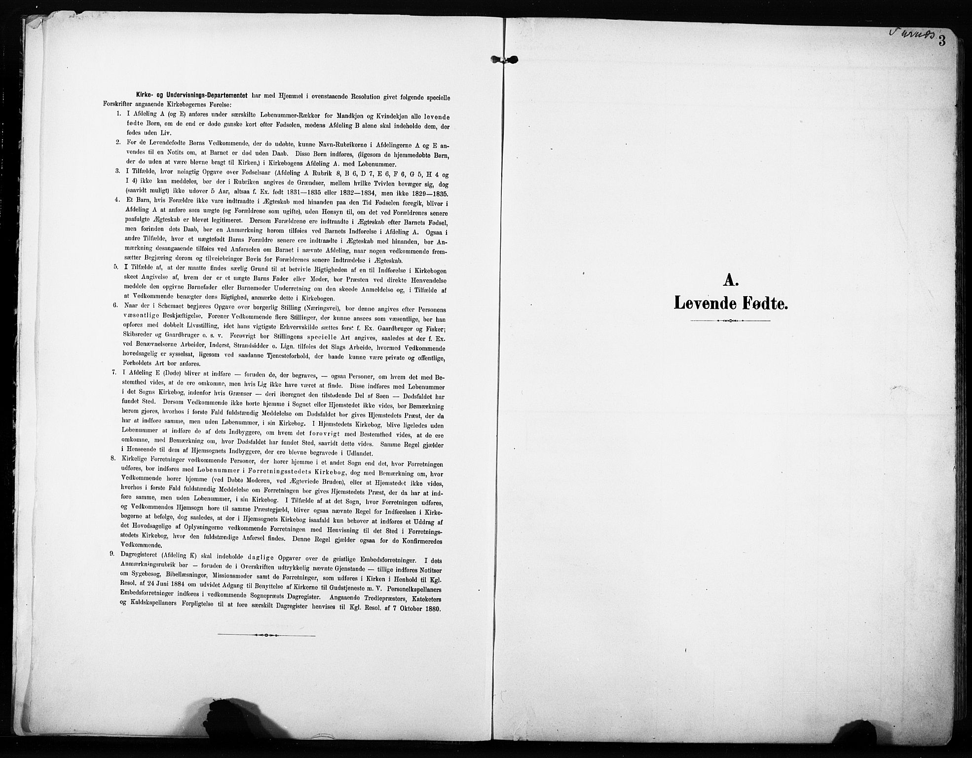 Furnes prestekontor, SAH/PREST-012/L/La/L0001: Parish register (copy) no. 1, 1904-1933, p. 3