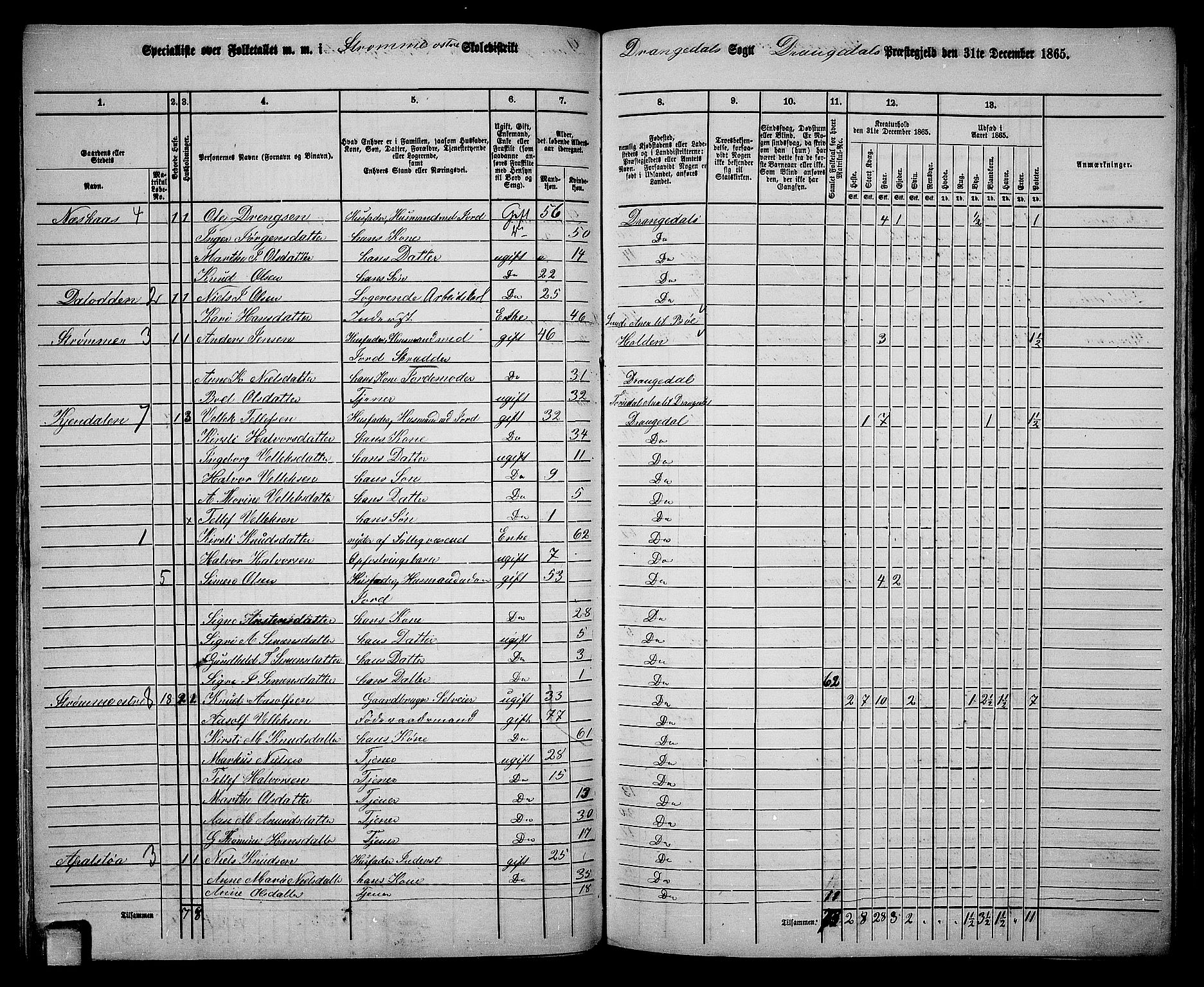 RA, 1865 census for Drangedal, 1865, p. 46