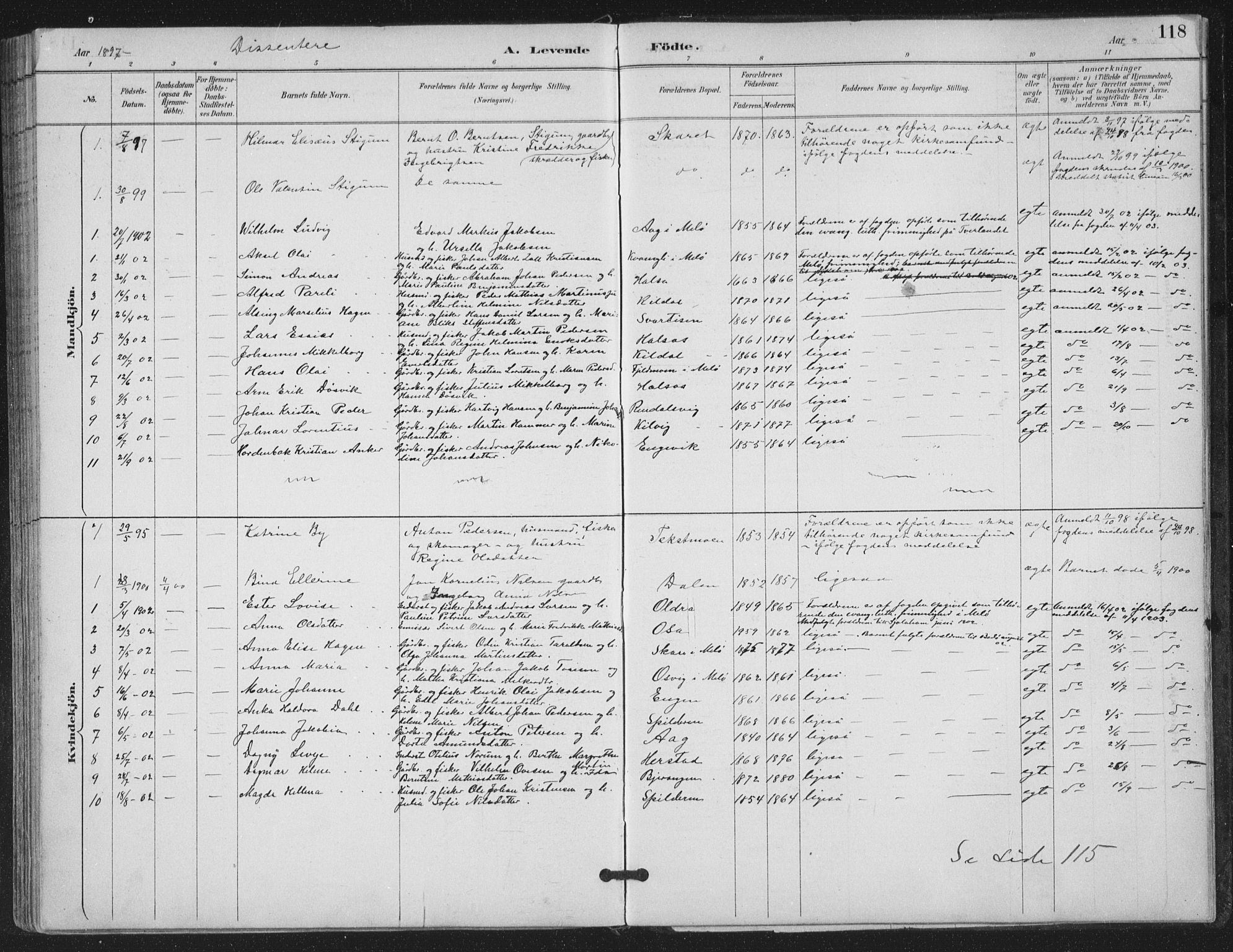 Ministerialprotokoller, klokkerbøker og fødselsregistre - Nordland, SAT/A-1459/843/L0628: Parish register (official) no. 843A03, 1889-1907, p. 118
