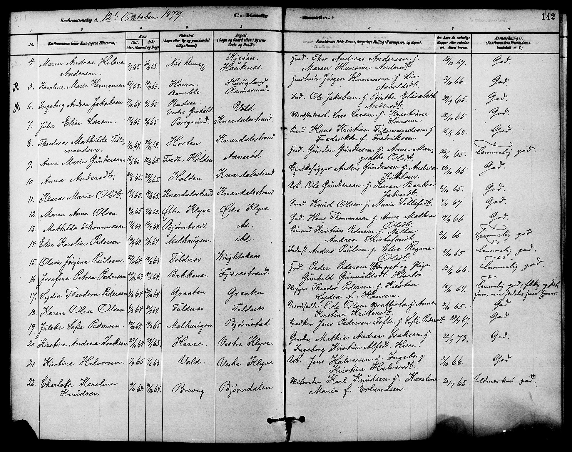 Solum kirkebøker, AV/SAKO-A-306/F/Fa/L0009: Parish register (official) no. I 9, 1877-1887, p. 142