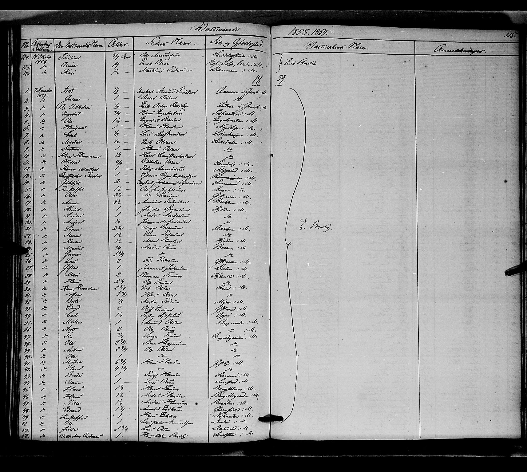 Nord-Odal prestekontor, AV/SAH-PREST-032/H/Ha/Haa/L0003: Parish register (official) no. 3, 1851-1865, p. 215