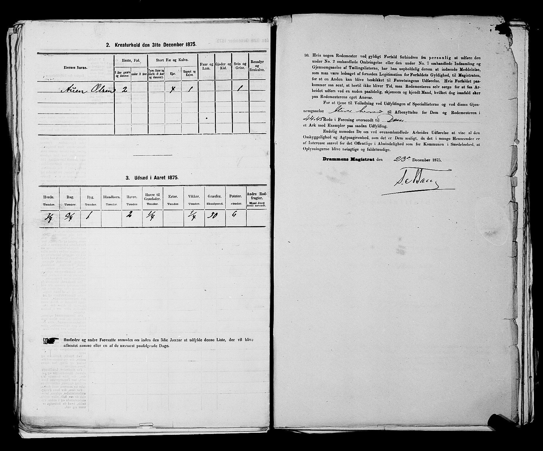 SAKO, 1875 census for 0602 Drammen, 1875, p. 3613