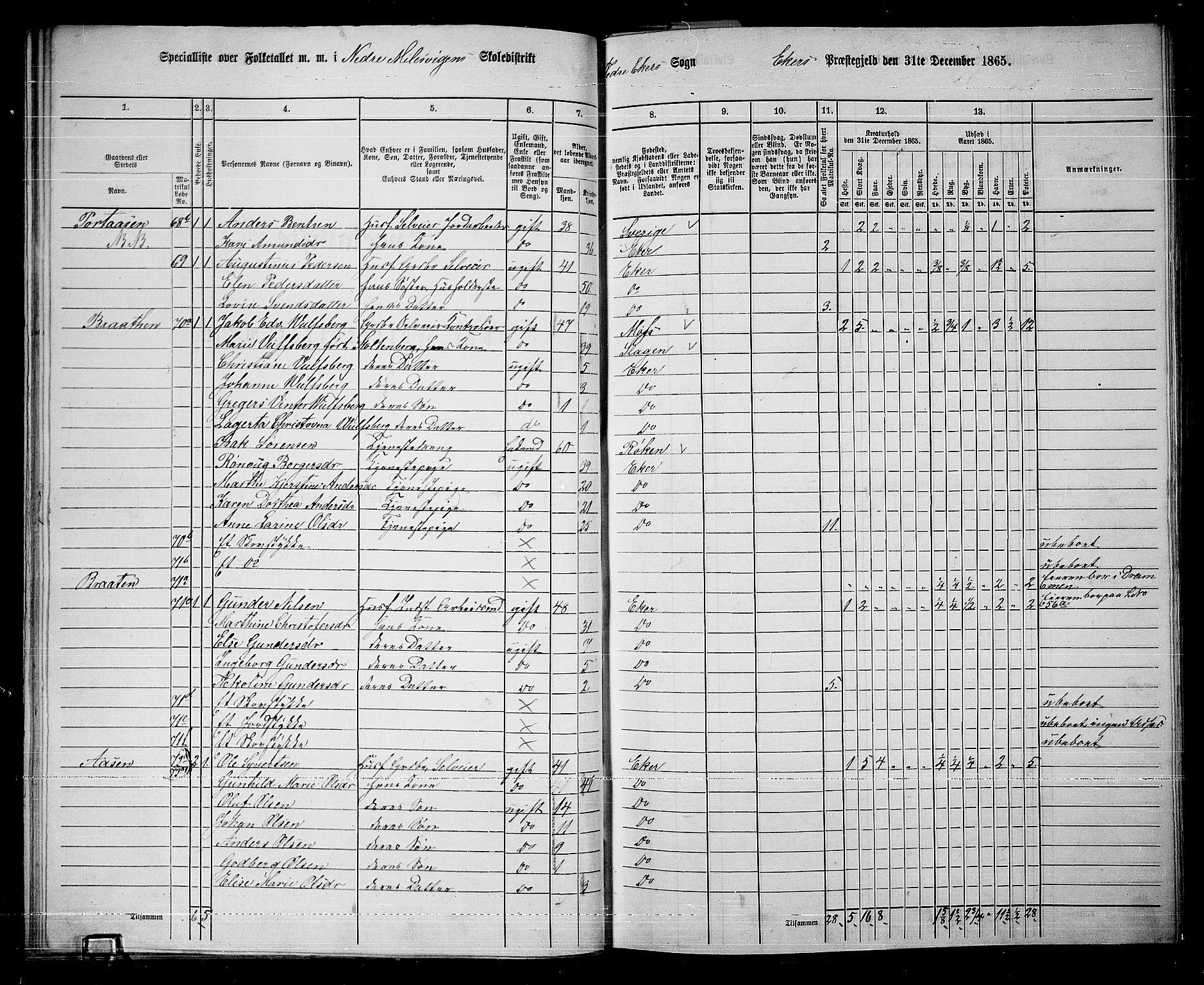 RA, 1865 census for Eiker, 1865, p. 306