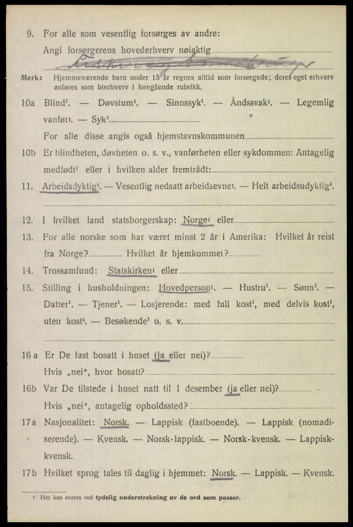 SAT, 1920 census for Borge, 1920, p. 8714