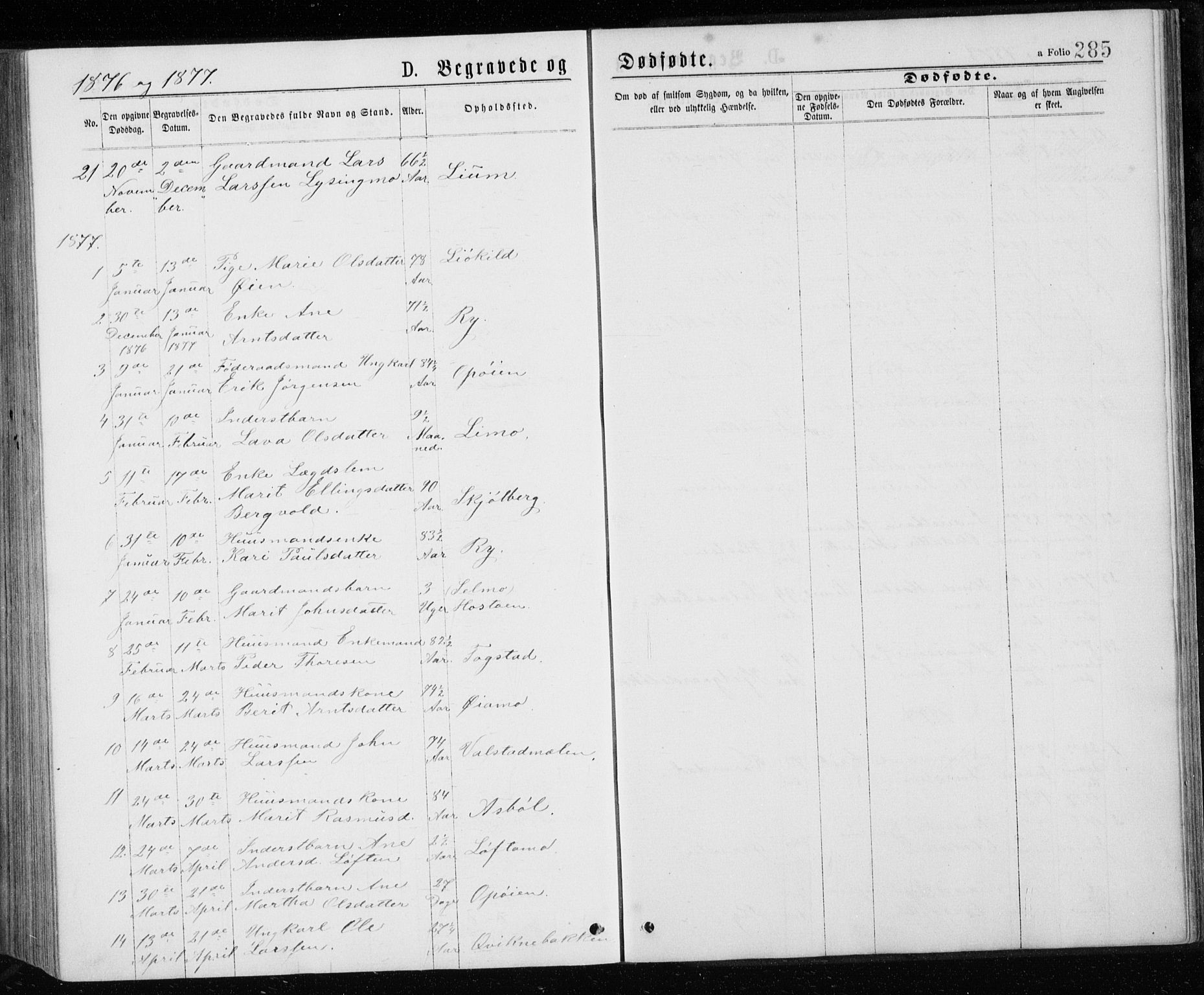 Ministerialprotokoller, klokkerbøker og fødselsregistre - Sør-Trøndelag, AV/SAT-A-1456/671/L0843: Parish register (copy) no. 671C02, 1873-1892, p. 285