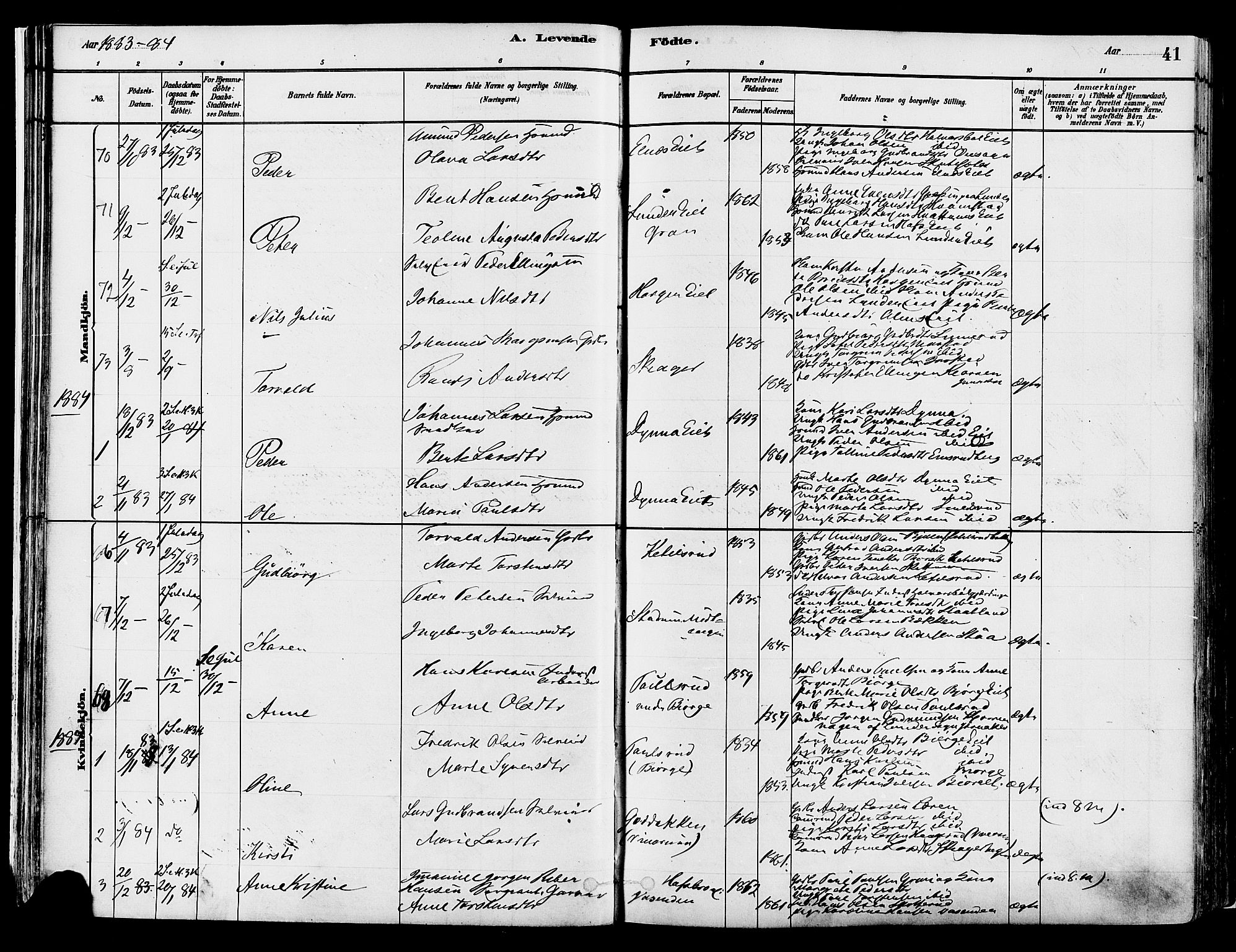 Gran prestekontor, SAH/PREST-112/H/Ha/Haa/L0014: Parish register (official) no. 14, 1880-1889, p. 41