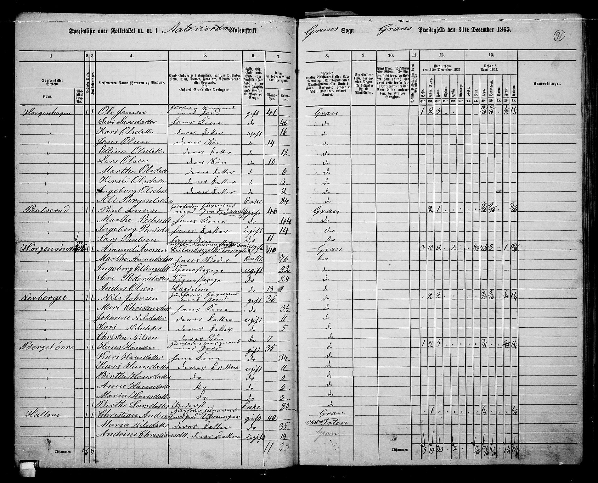 RA, 1865 census for Gran, 1865, p. 78