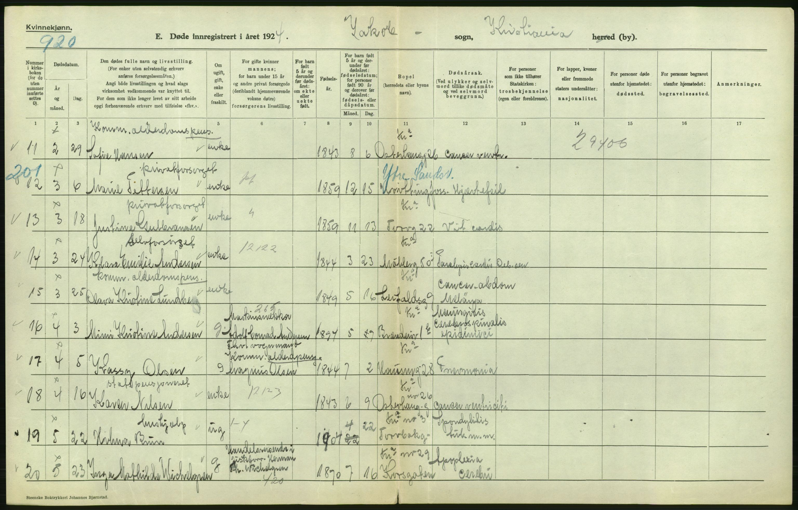 Statistisk sentralbyrå, Sosiodemografiske emner, Befolkning, AV/RA-S-2228/D/Df/Dfc/Dfcd/L0009: Kristiania: Døde kvinner, dødfødte, 1924, p. 224