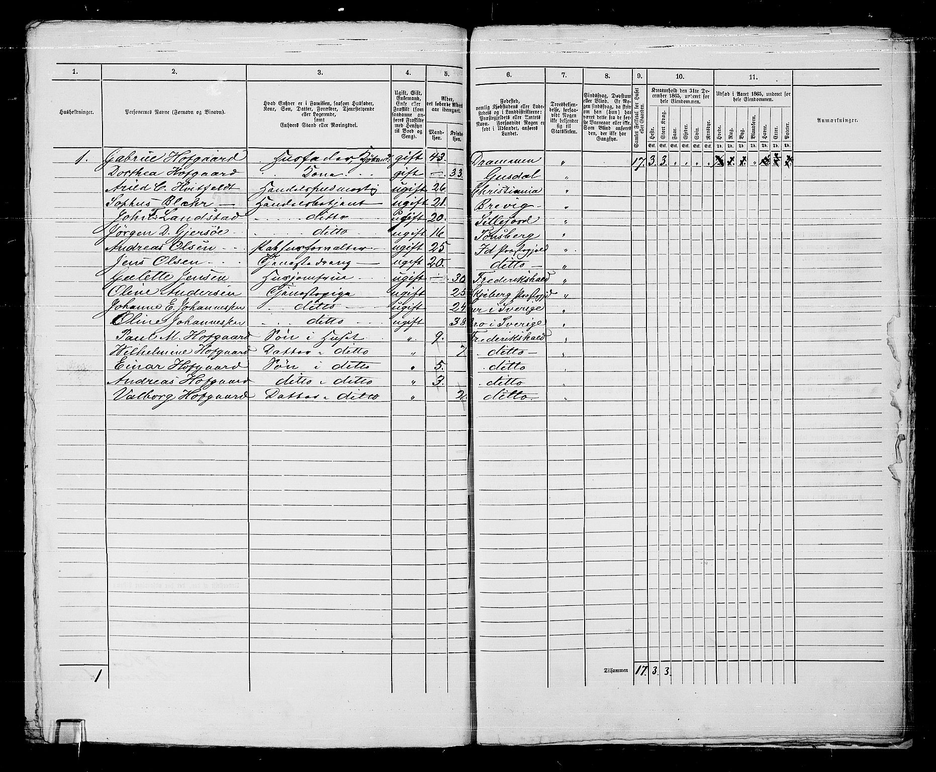 RA, 1865 census for Fredrikshald, 1865, p. 1290