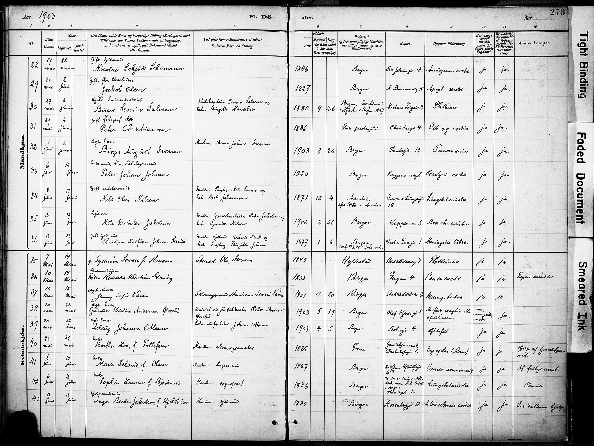 Domkirken sokneprestembete, AV/SAB-A-74801/H/Haa/L0043: Parish register (official) no. E 5, 1882-1904, p. 273