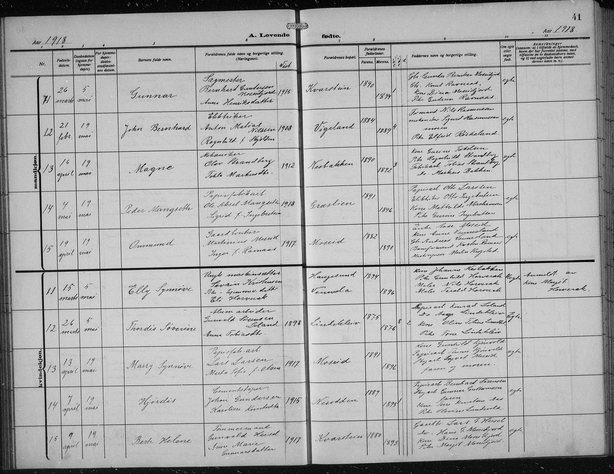 Vennesla sokneprestkontor, SAK/1111-0045/Fb/Fbb/L0006: Parish register (copy) no. B 6, 1914-1921, p. 41