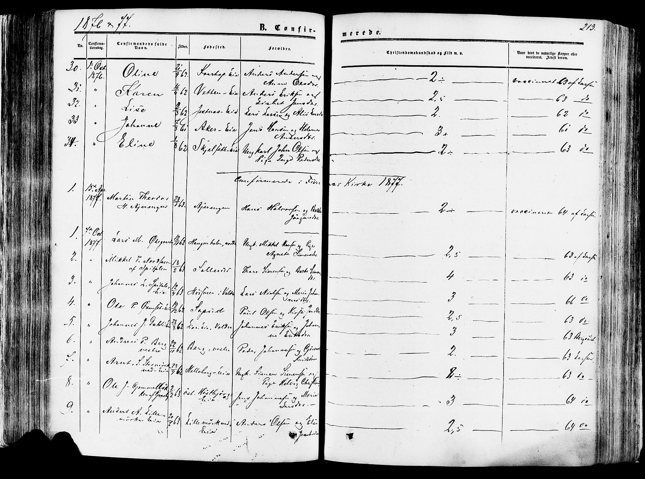 Vang prestekontor, Hedmark, SAH/PREST-008/H/Ha/Haa/L0013: Parish register (official) no. 13, 1855-1879, p. 213