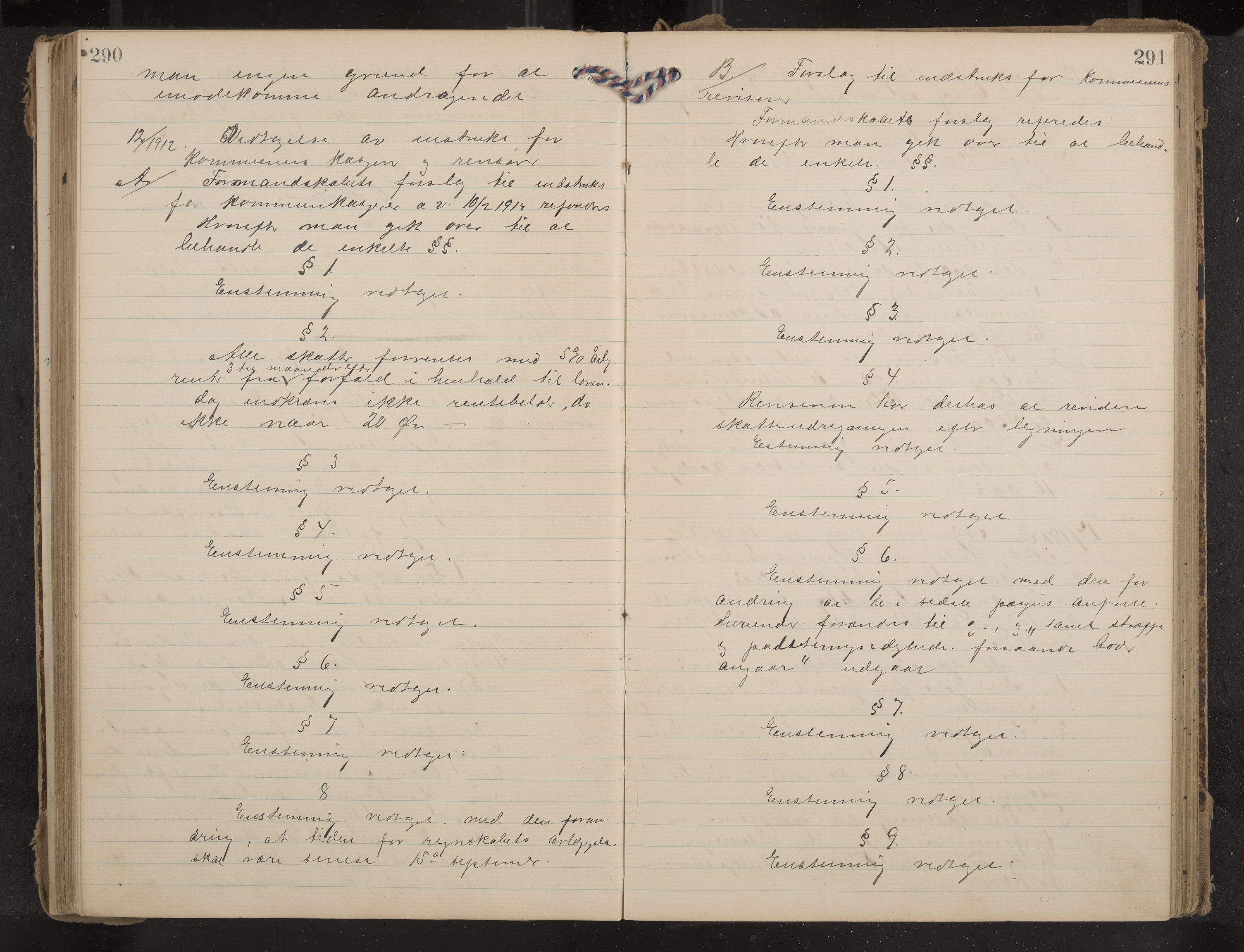 Nes formannskap og sentraladministrasjon, IKAK/0616021-1/A/Aa/L0004: Møtebok med register, 1904-1914, p. 290-291