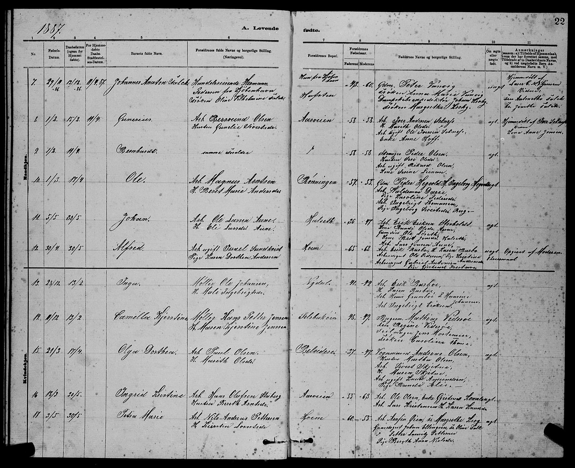 Ministerialprotokoller, klokkerbøker og fødselsregistre - Sør-Trøndelag, AV/SAT-A-1456/611/L0354: Parish register (copy) no. 611C02, 1881-1896, p. 22