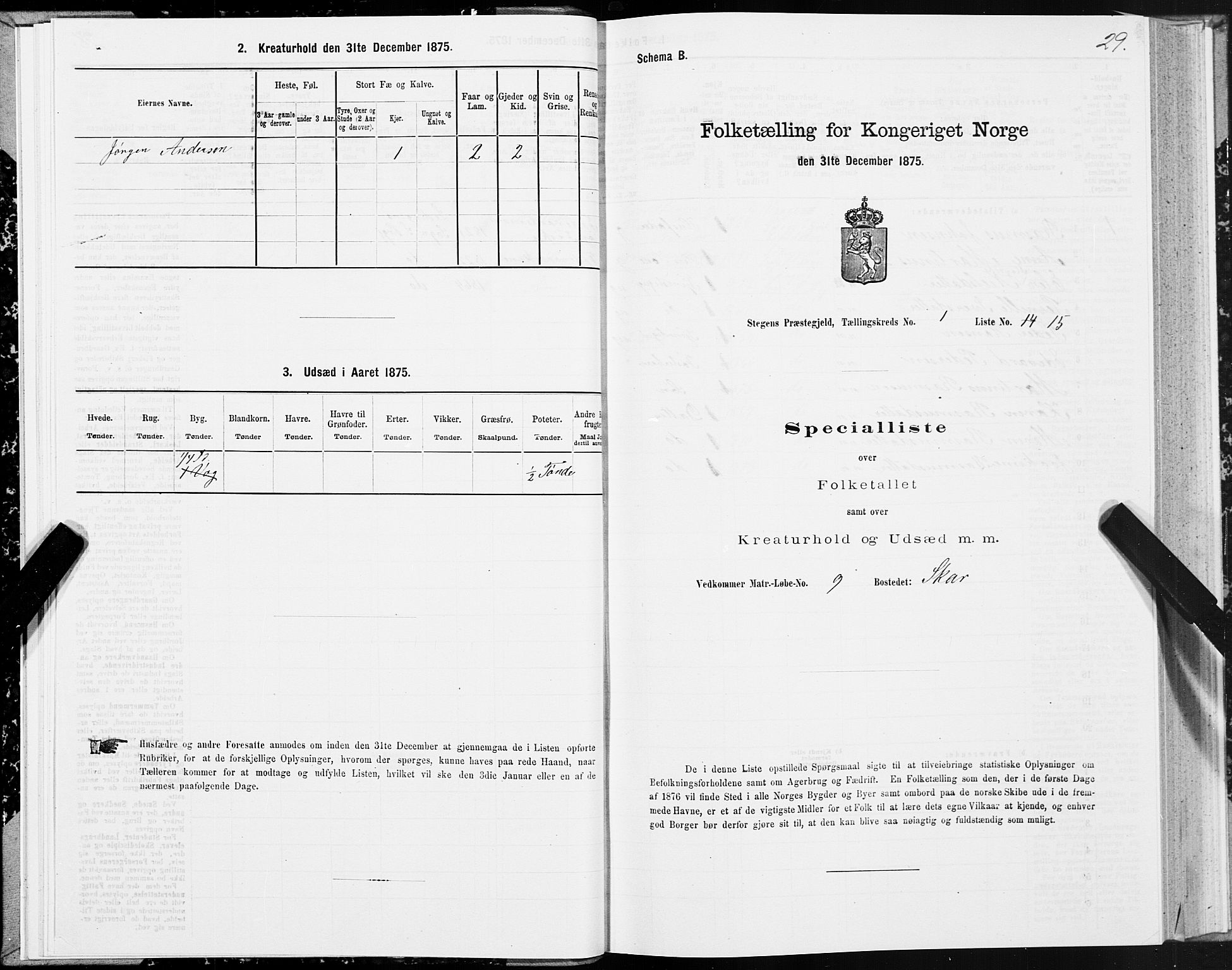 SAT, 1875 census for 1848P Steigen, 1875, p. 1029