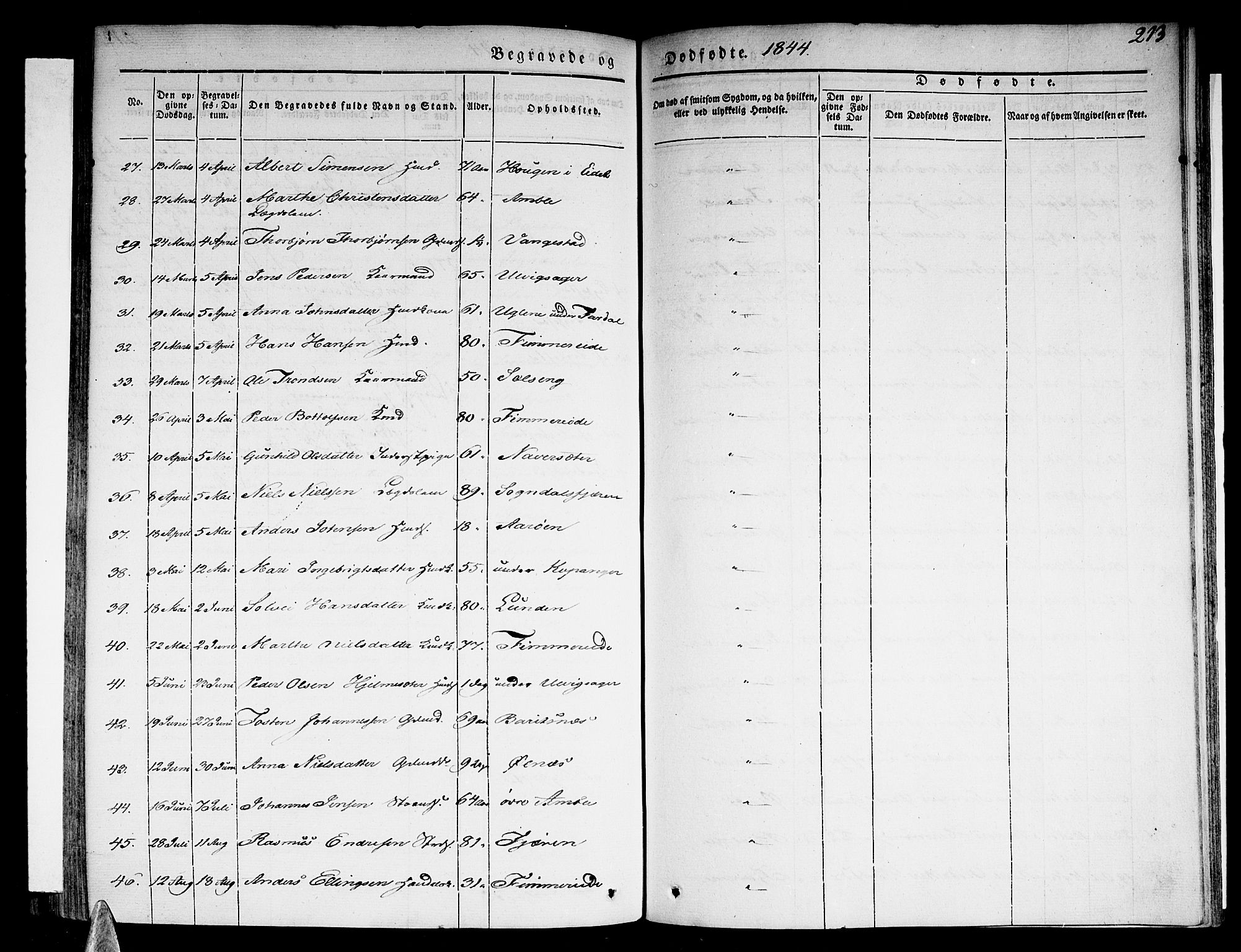 Sogndal sokneprestembete, AV/SAB-A-81301/H/Haa/Haaa/L0011: Parish register (official) no. A 11, 1839-1847, p. 213