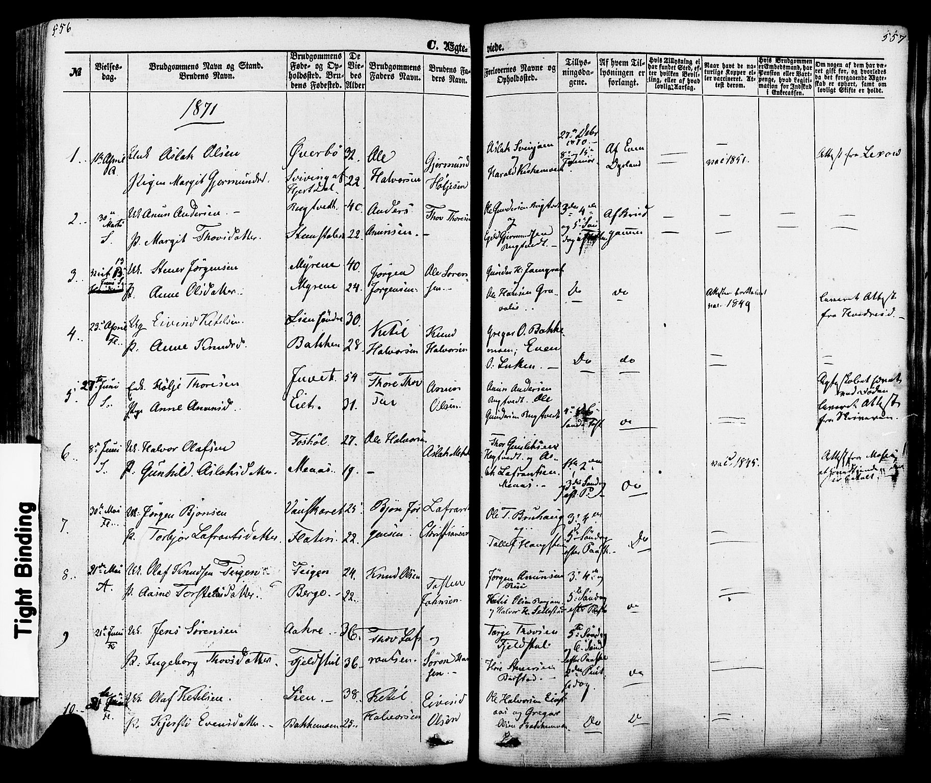 Seljord kirkebøker, SAKO/A-20/F/Fa/L0013: Parish register (official) no. I 13, 1866-1876, p. 556-557