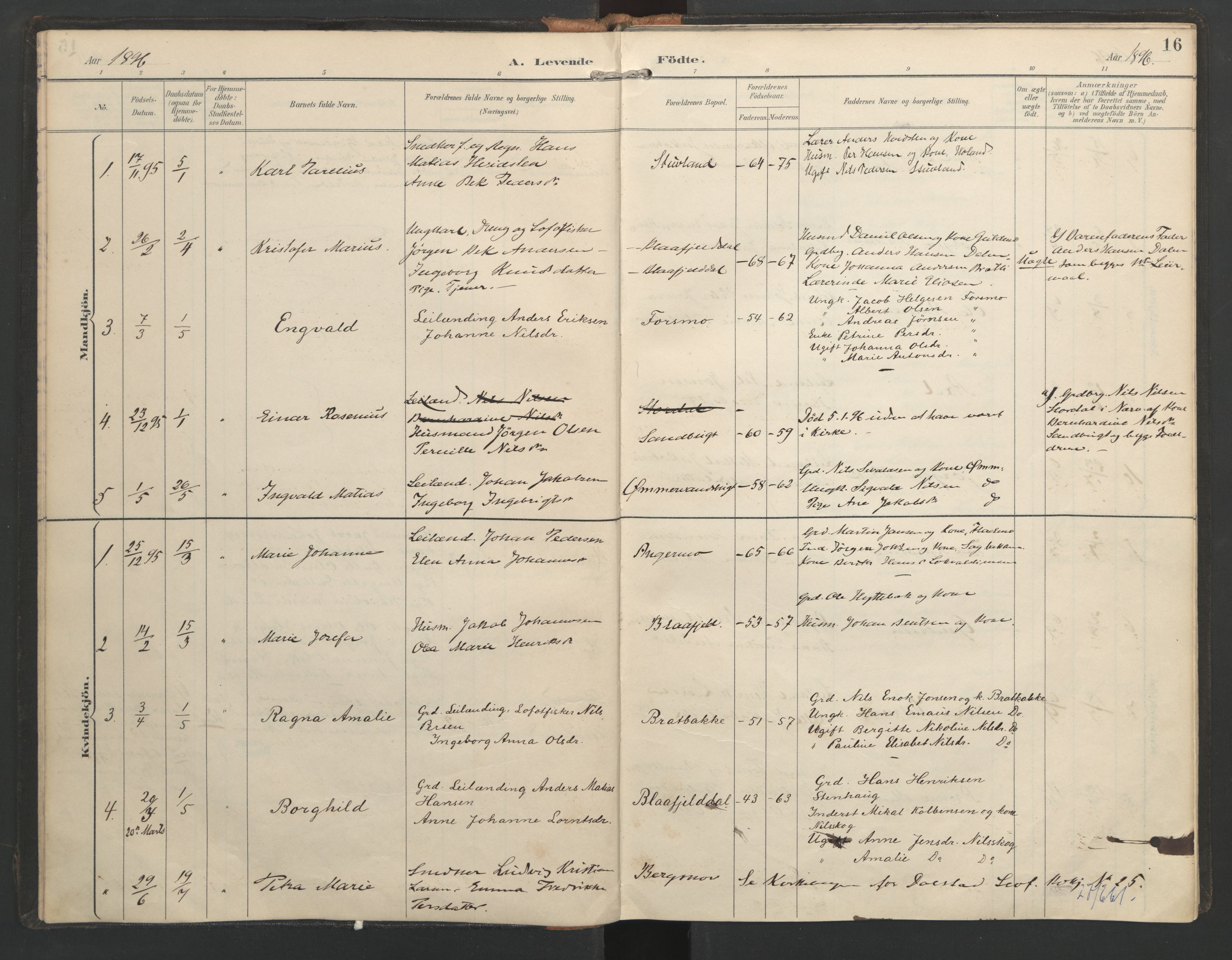 Ministerialprotokoller, klokkerbøker og fødselsregistre - Nordland, SAT/A-1459/821/L0317: Parish register (official) no. 821A01, 1892-1907, p. 16