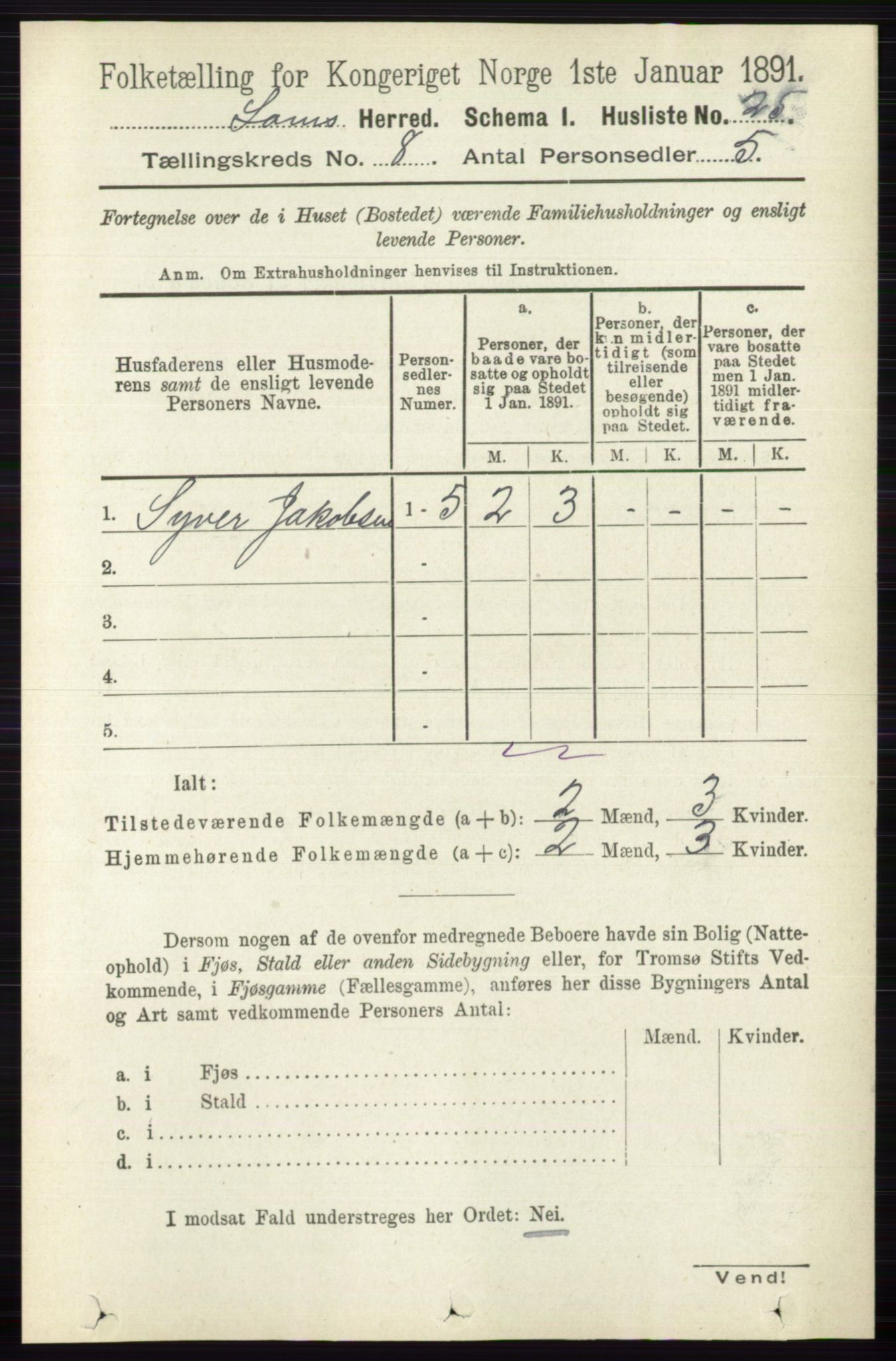 RA, 1891 census for 0514 Lom, 1891, p. 3067