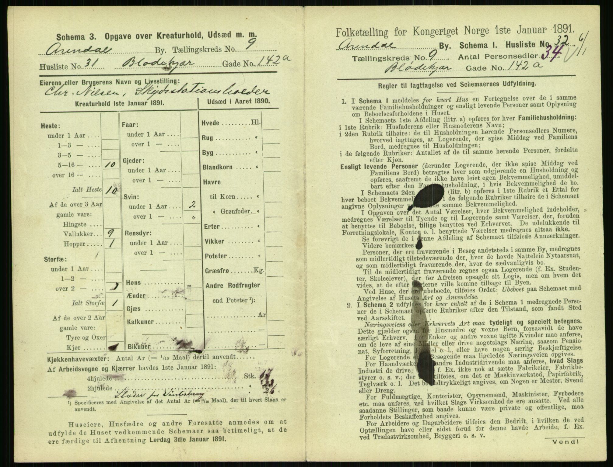 RA, 1891 census for 0903 Arendal, 1891, p. 524