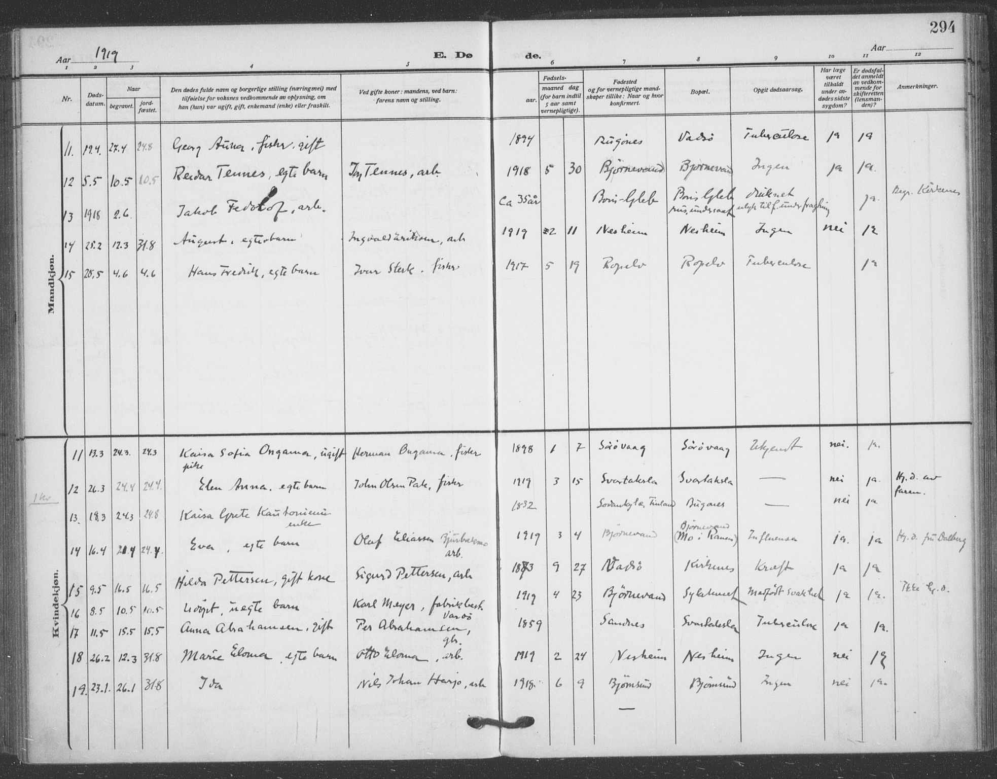 Sør-Varanger sokneprestkontor, AV/SATØ-S-1331/H/Ha/L0005kirke: Parish register (official) no. 5, 1909-1919, p. 294