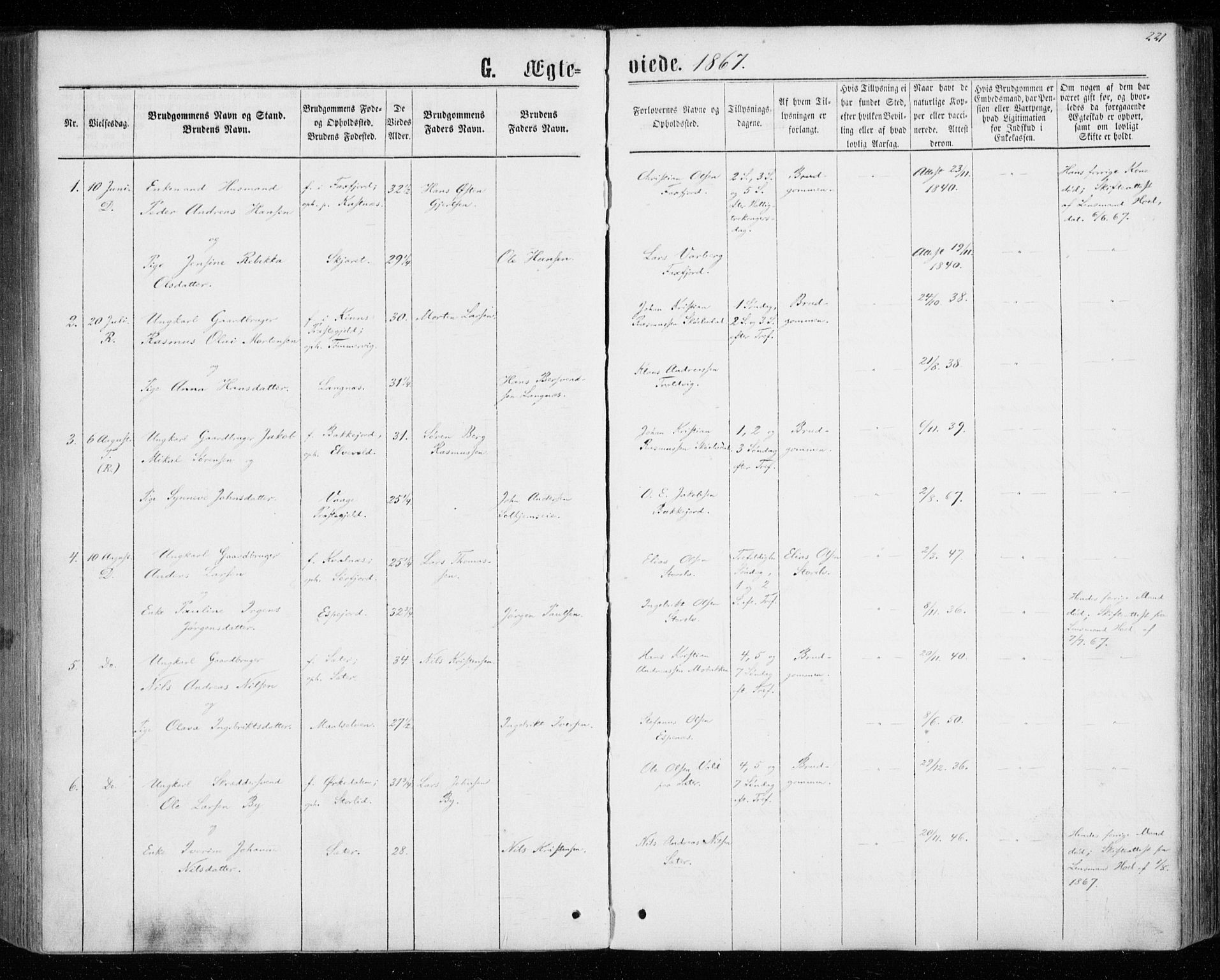 Tranøy sokneprestkontor, SATØ/S-1313/I/Ia/Iaa/L0008kirke: Parish register (official) no. 8, 1867-1877, p. 221