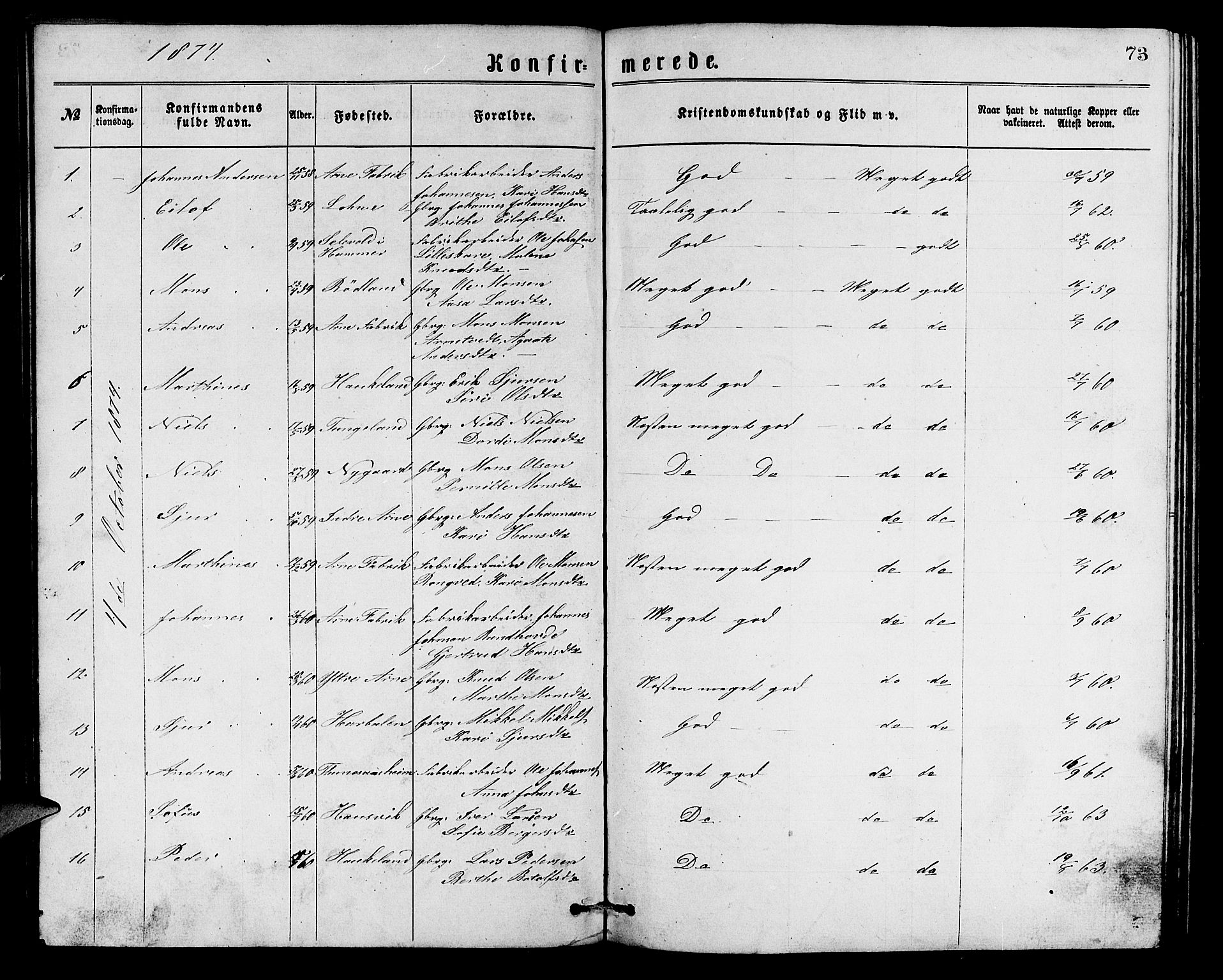 Arna Sokneprestembete, SAB/A-74001/H/Ha/Hab: Parish register (copy) no. A 1, 1869-1879, p. 73