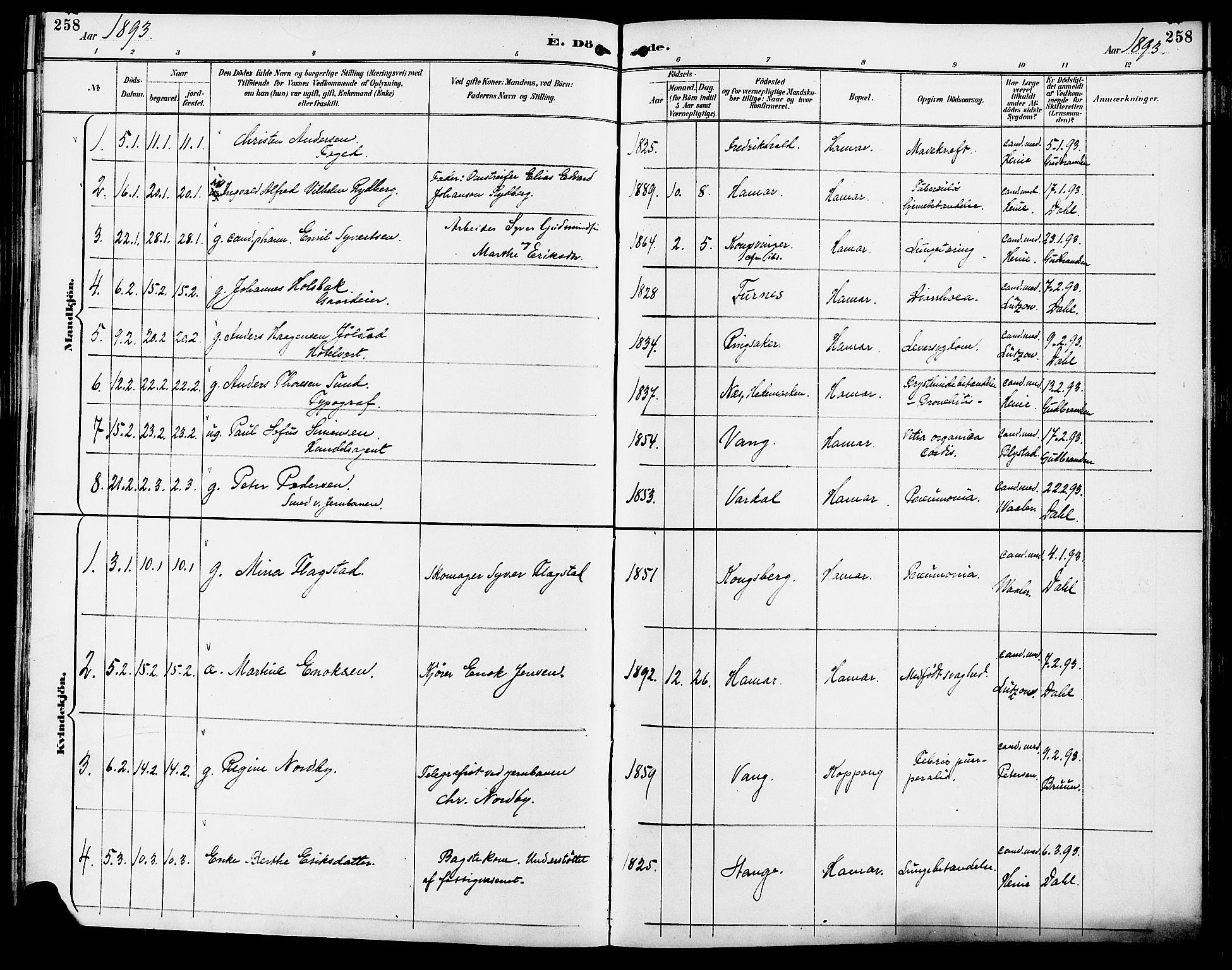 Vang prestekontor, Hedmark, SAH/PREST-008/H/Ha/Haa/L0017: Parish register (official) no. 17, 1890-1899, p. 258