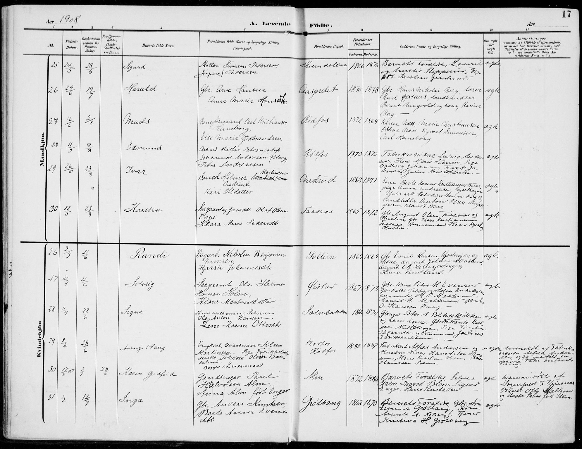 Vestre Toten prestekontor, SAH/PREST-108/H/Ha/Haa/L0014: Parish register (official) no. 14, 1907-1920, p. 17