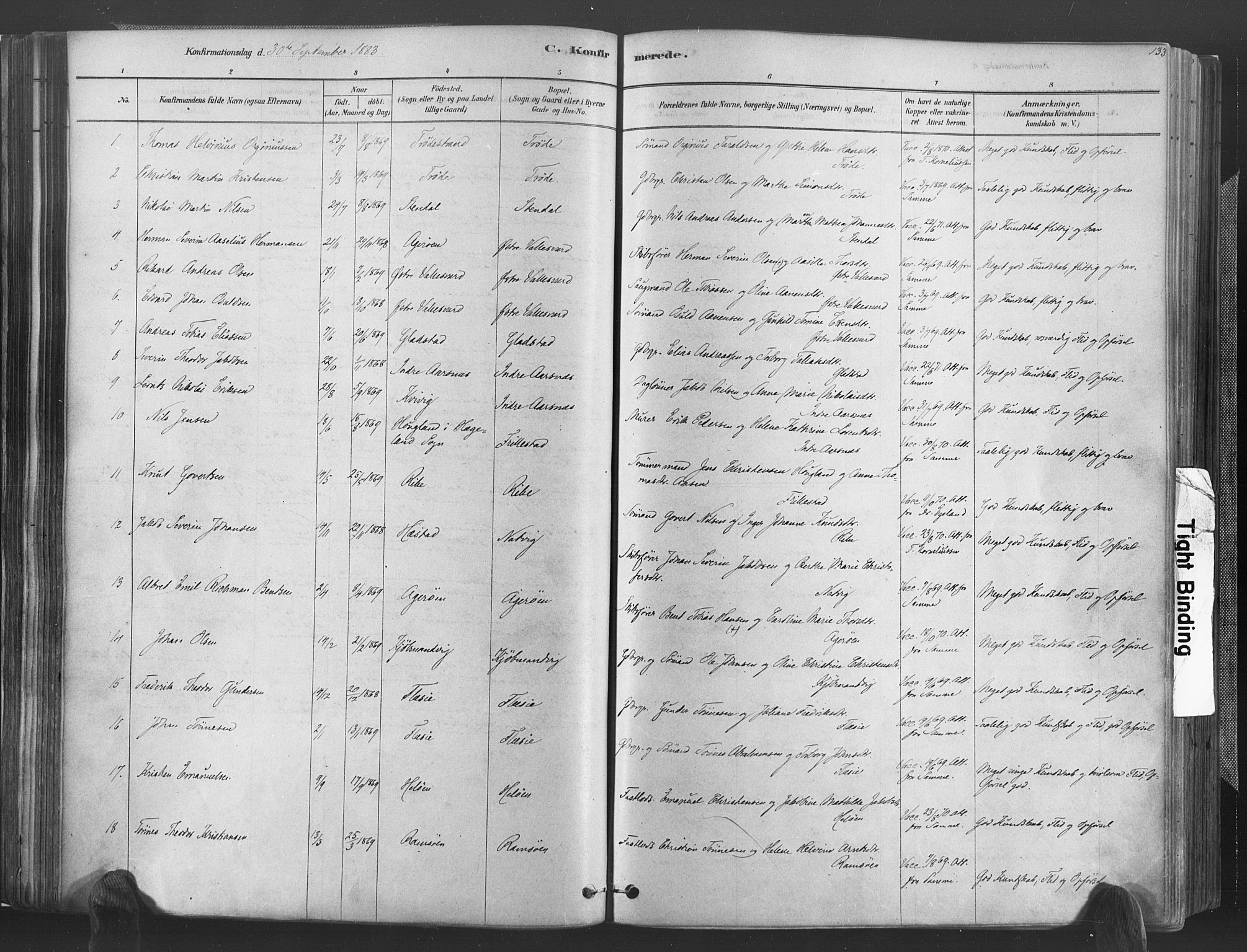 Høvåg sokneprestkontor, SAK/1111-0025/F/Fa/L0005: Parish register (official) no. A 5, 1878-1893, p. 133