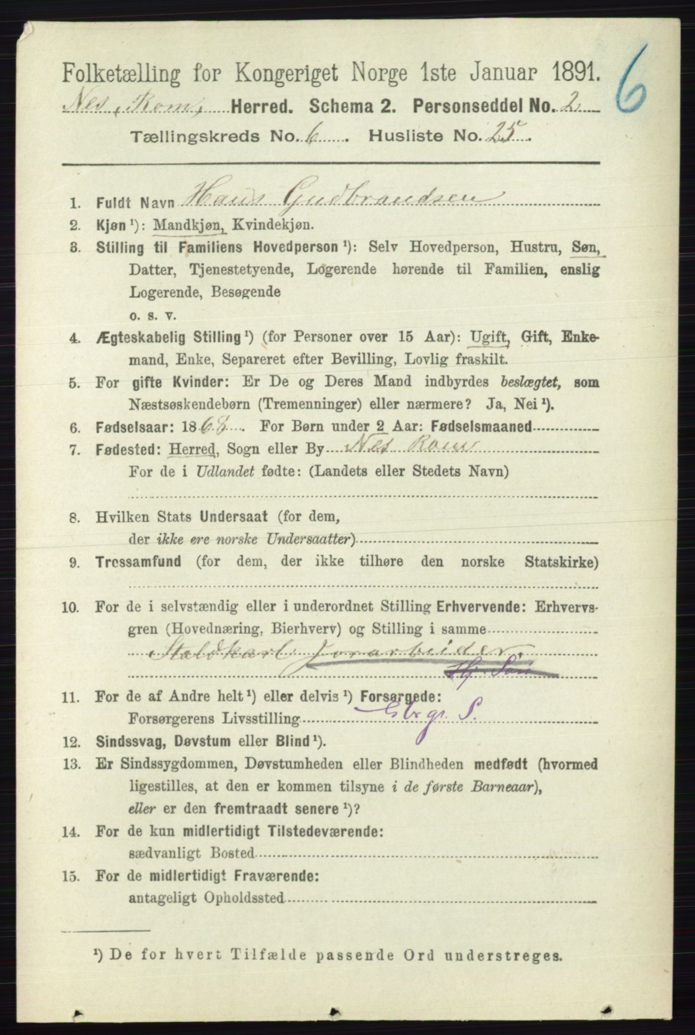 RA, 1891 census for 0236 Nes, 1891, p. 3531