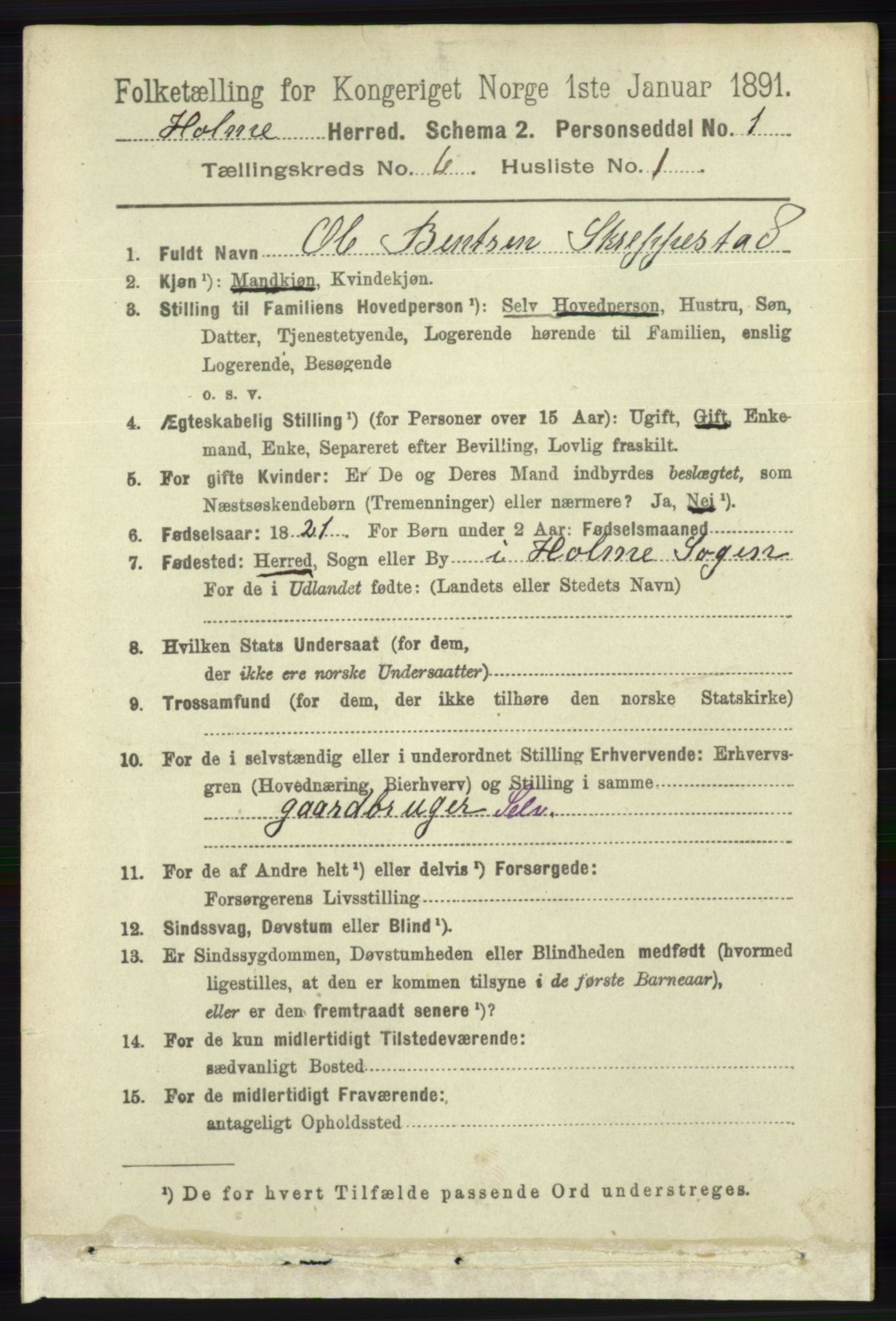 RA, 1891 census for 1020 Holum, 1891, p. 1591