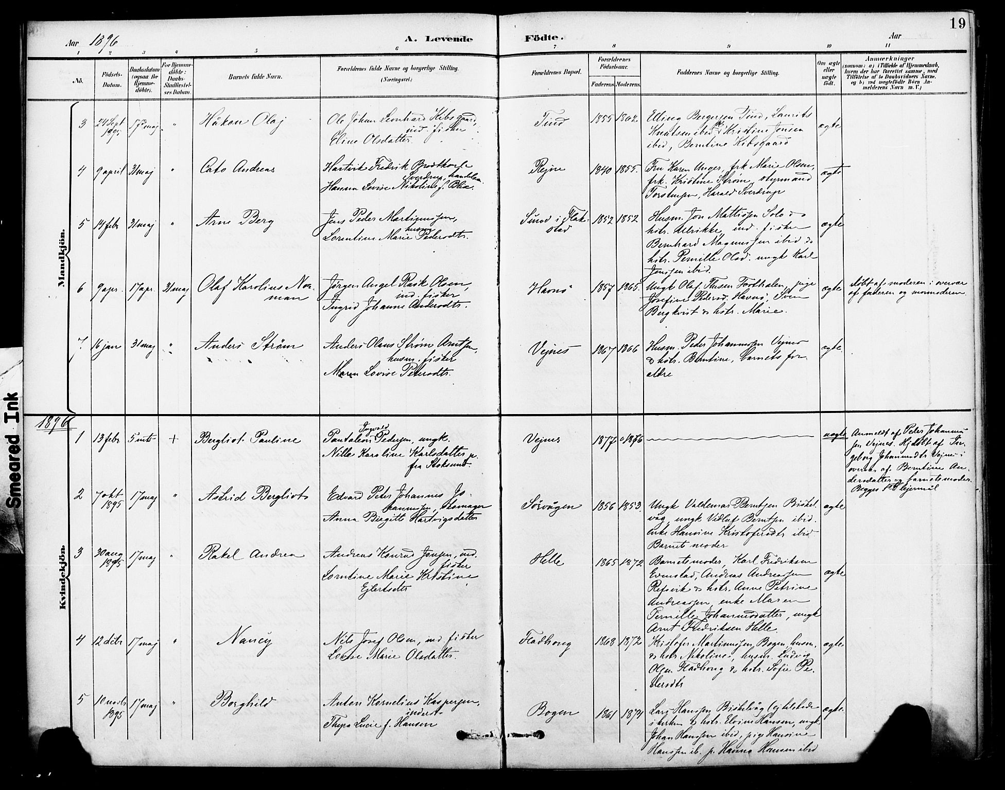 Ministerialprotokoller, klokkerbøker og fødselsregistre - Nordland, AV/SAT-A-1459/886/L1220: Parish register (official) no. 886A02, 1892-1903, p. 19